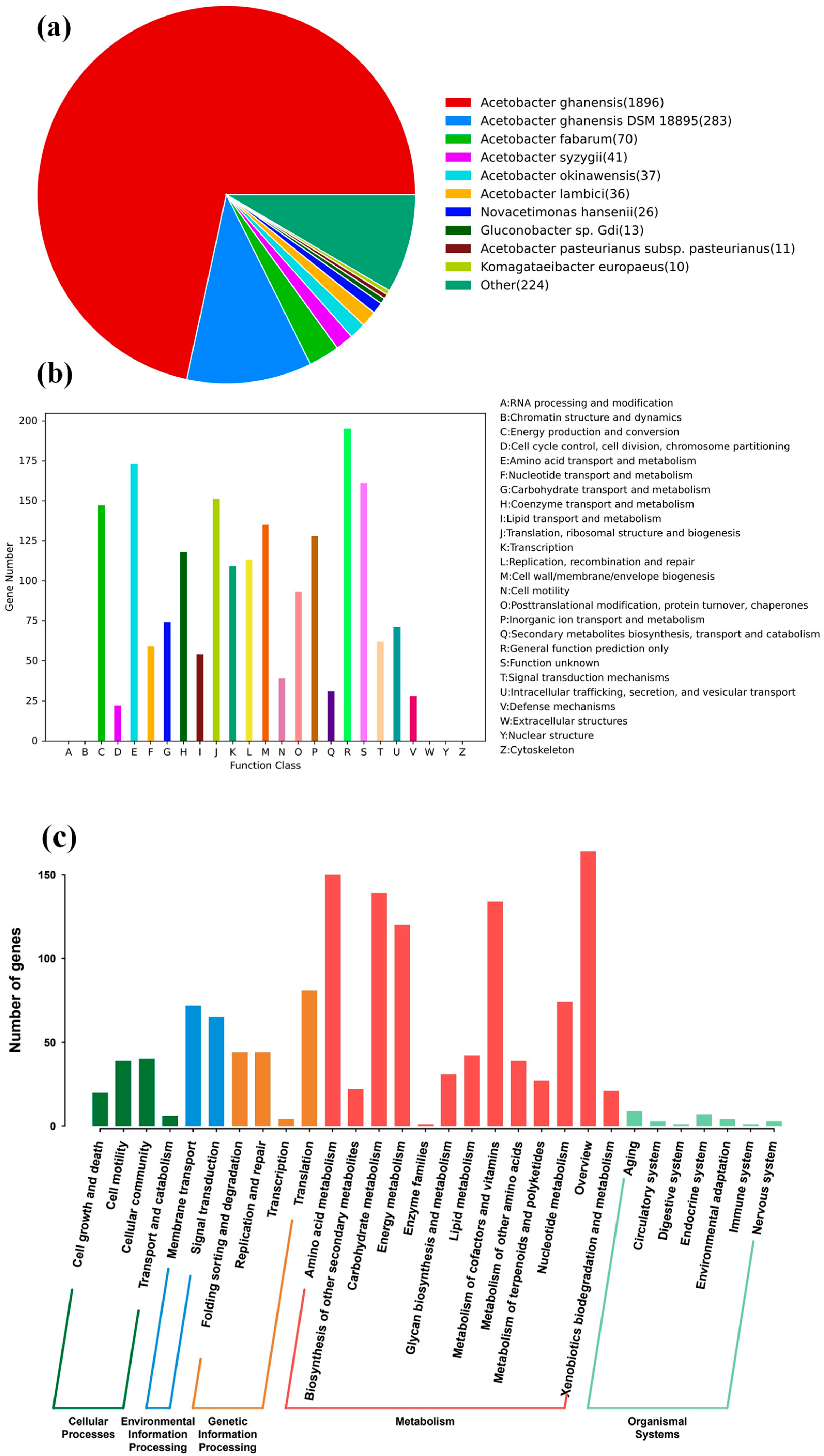 Catalysts 15 00756 g004