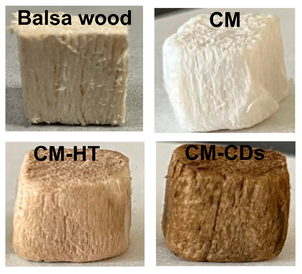 Catalysts 15 00764 g002