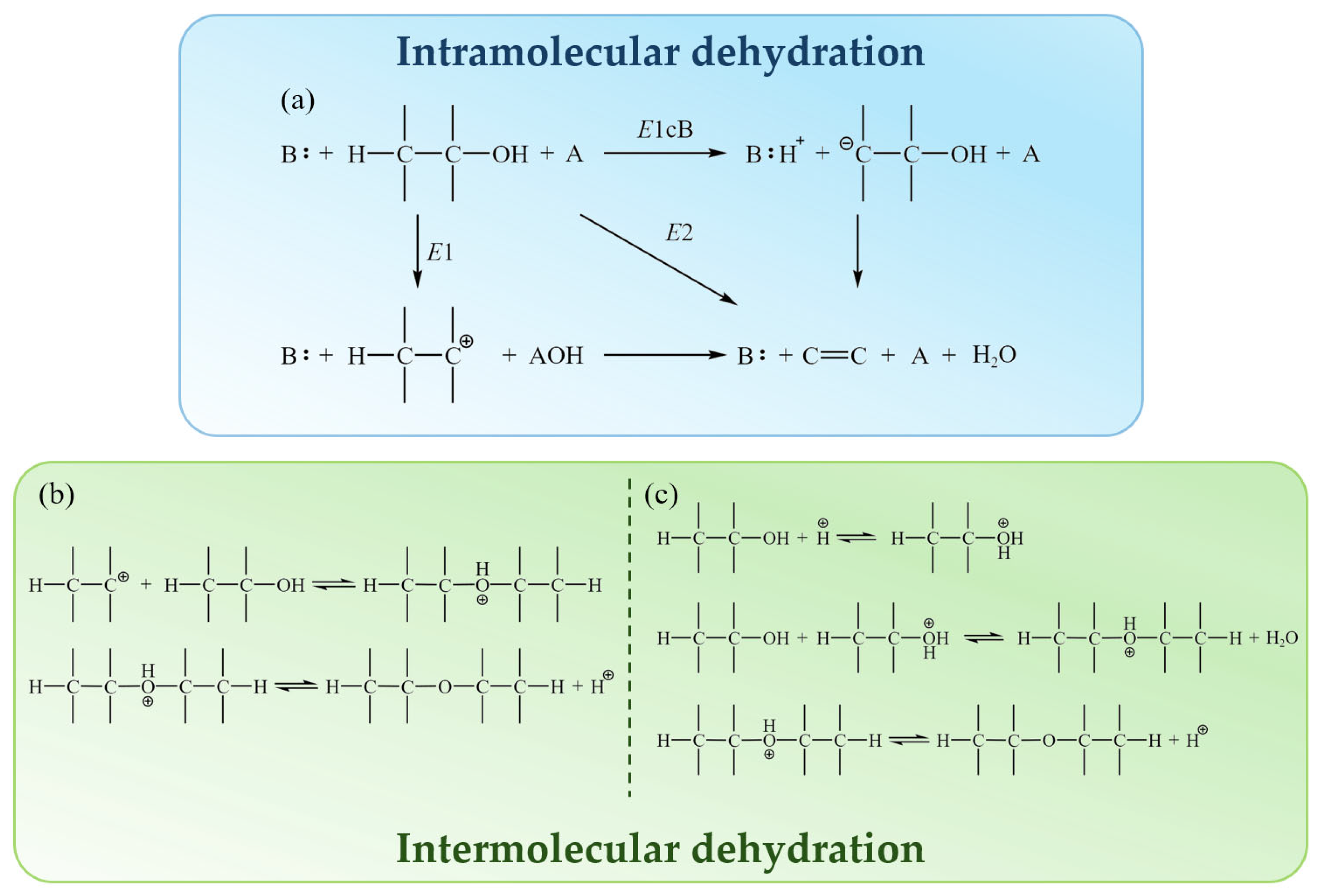 Catalysts 15 00791 g003 Catalysts 15 00791 g003
