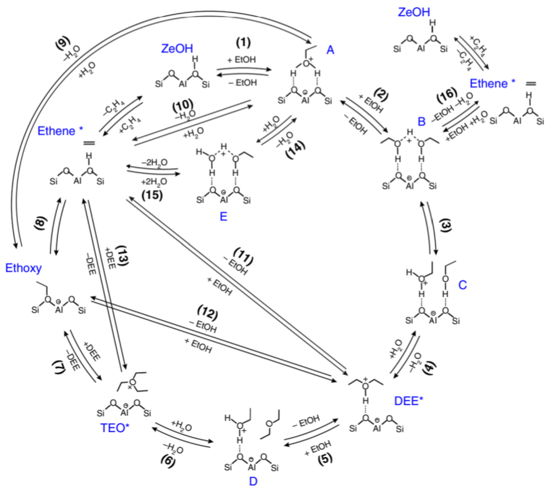 Catalysts 15 00791 g004 Catalysts 15 00791 g004
