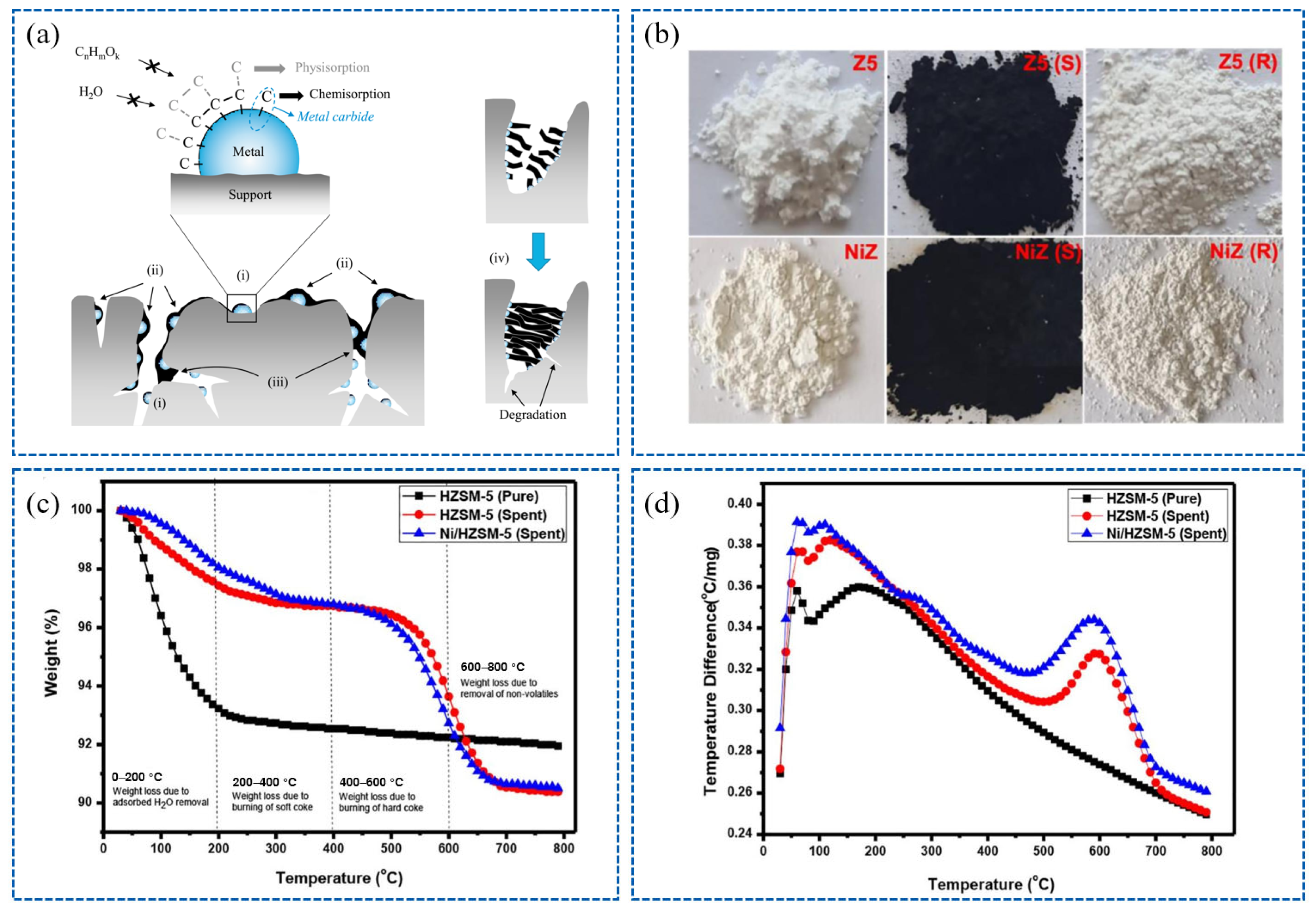 Catalysts 15 00791 g011 Catalysts 15 00791 g011