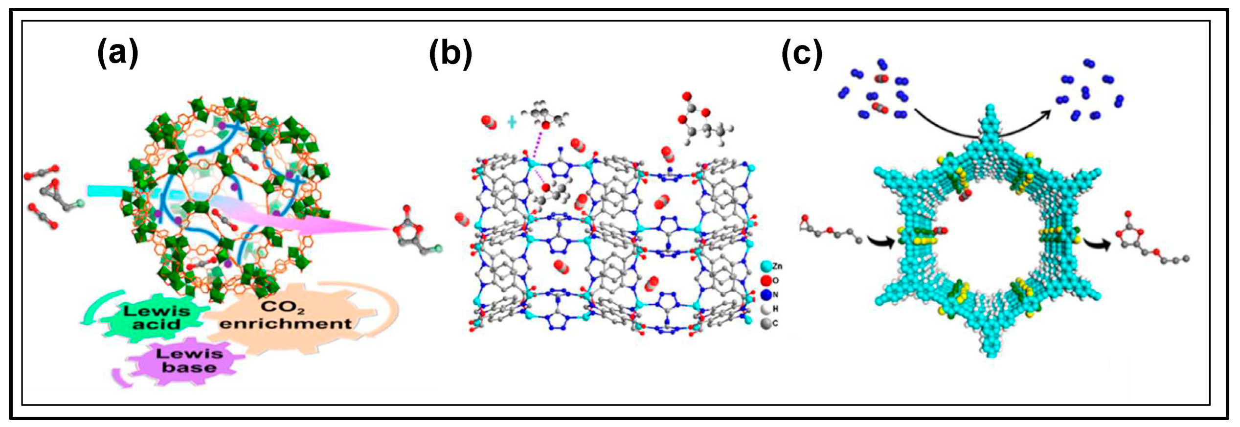 Catalysts 15 00807 g008