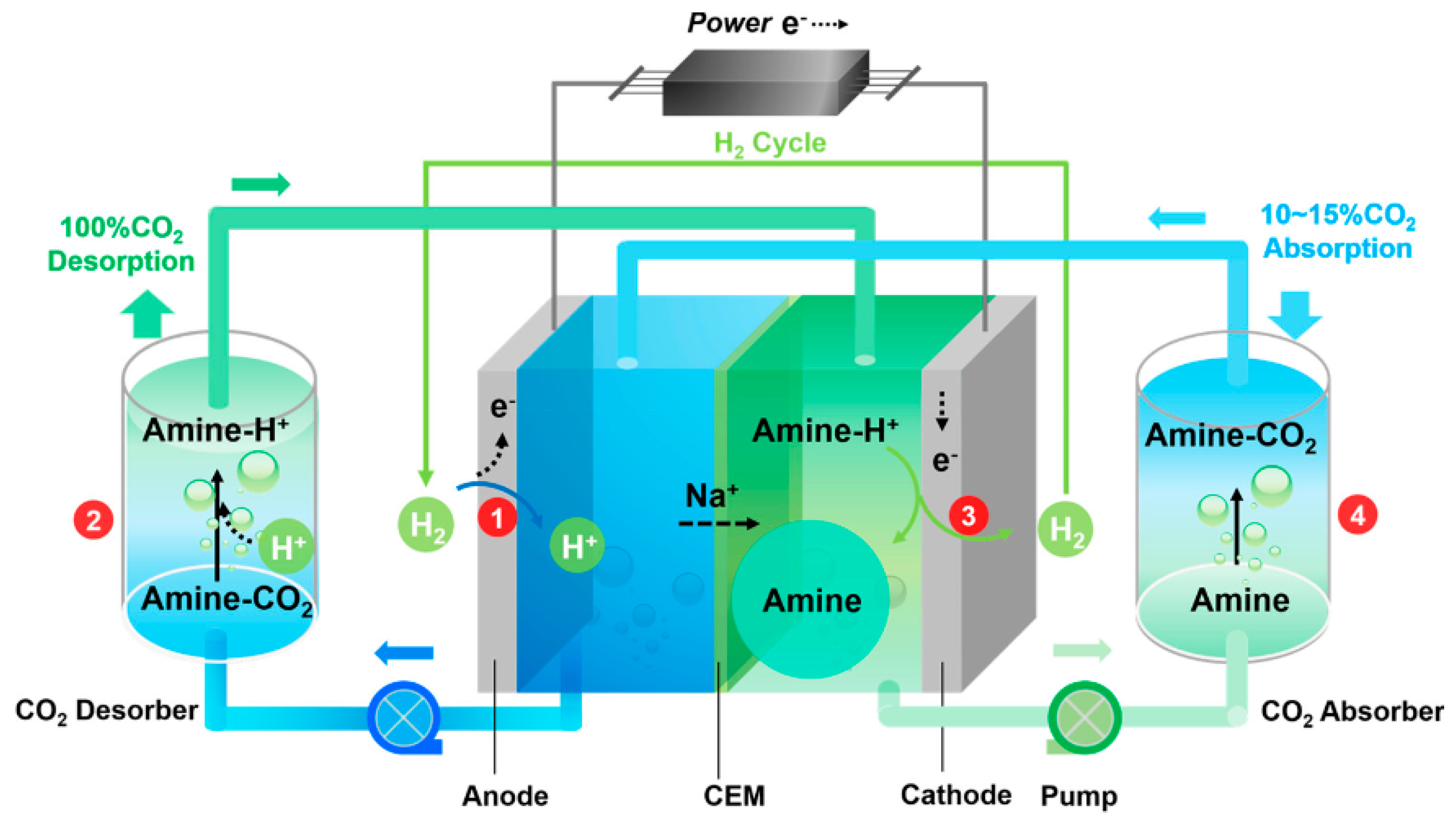 Catalysts 15 00807 g012