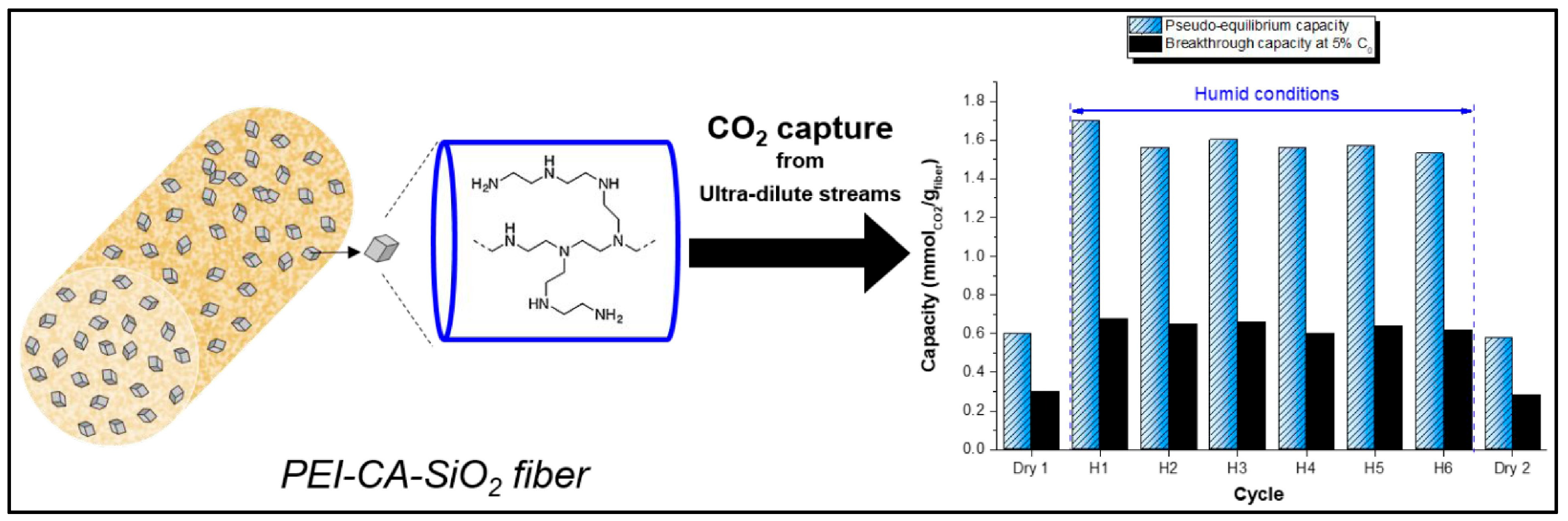 Catalysts 15 00807 g014