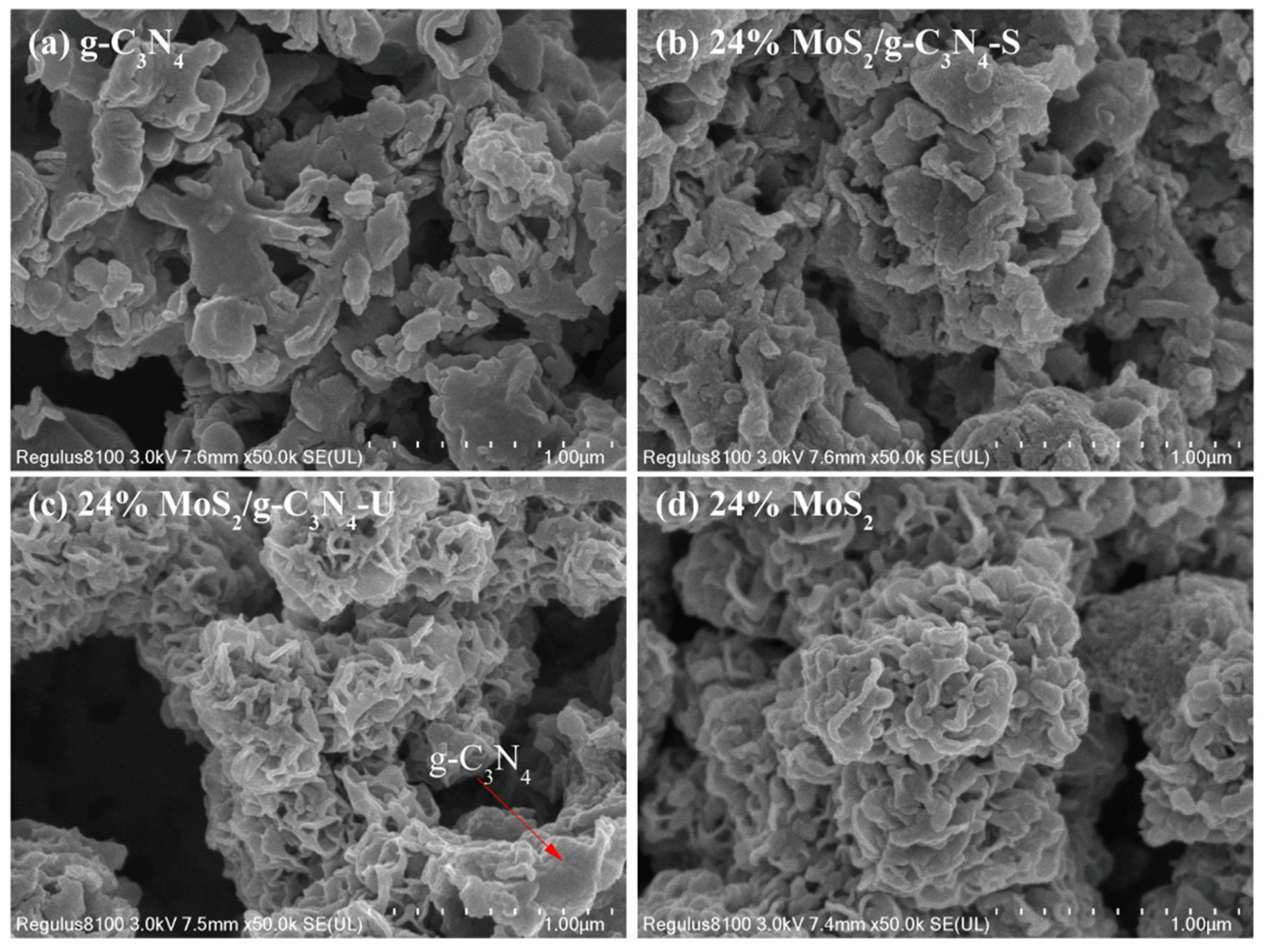 Catalysts 15 00808 g002