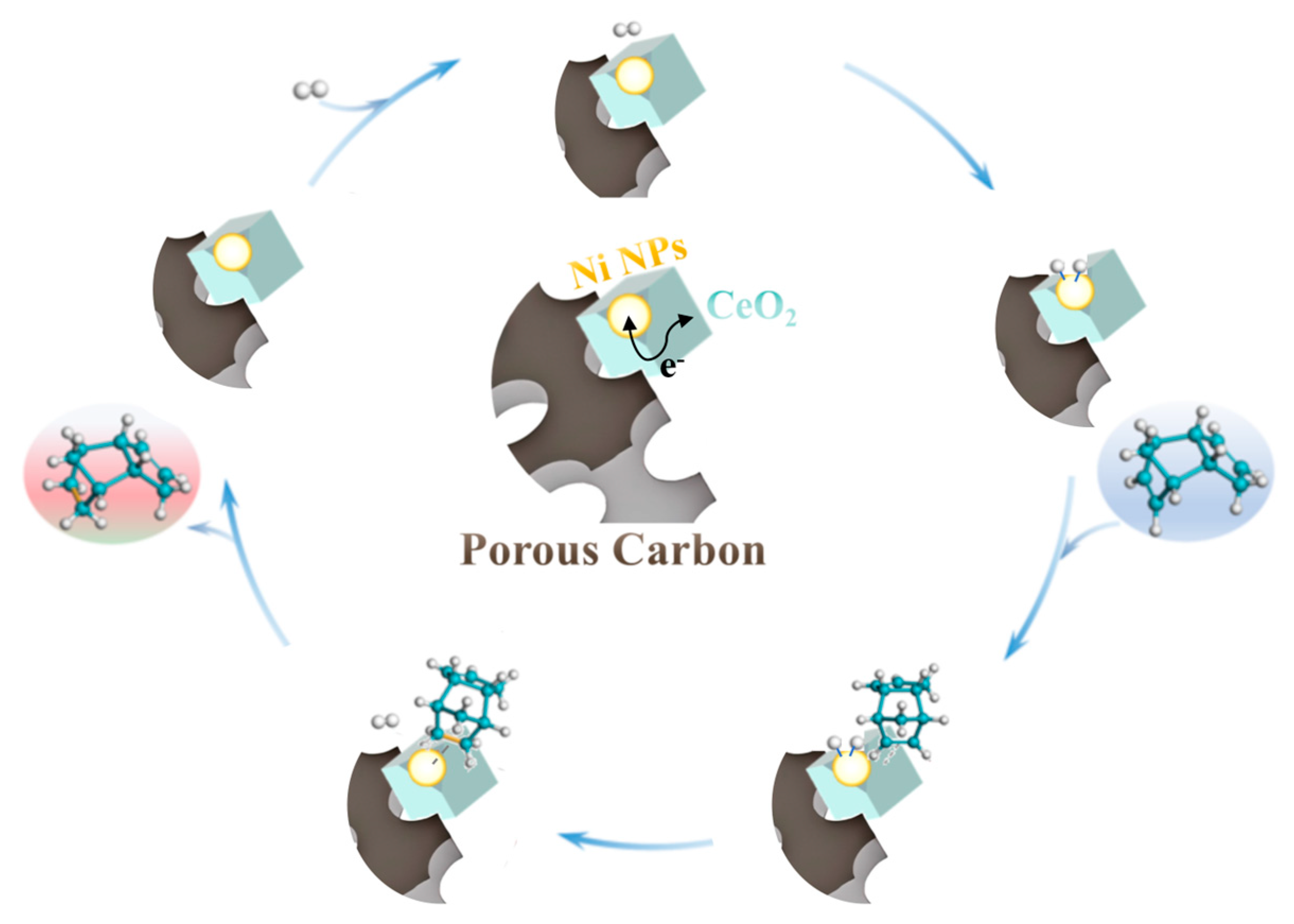 Catalysts 15 00812 g007