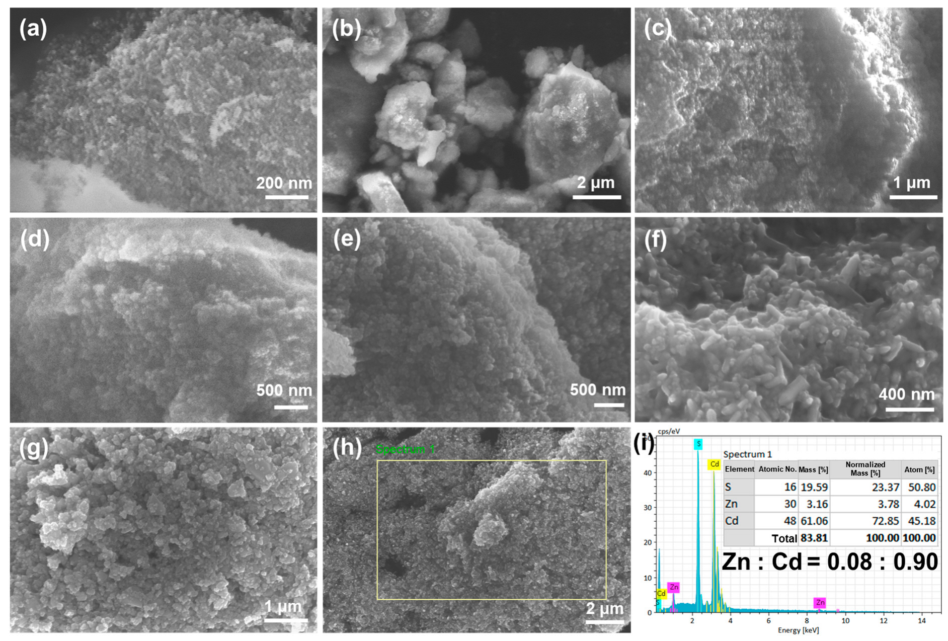 Catalysts 15 00819 g002