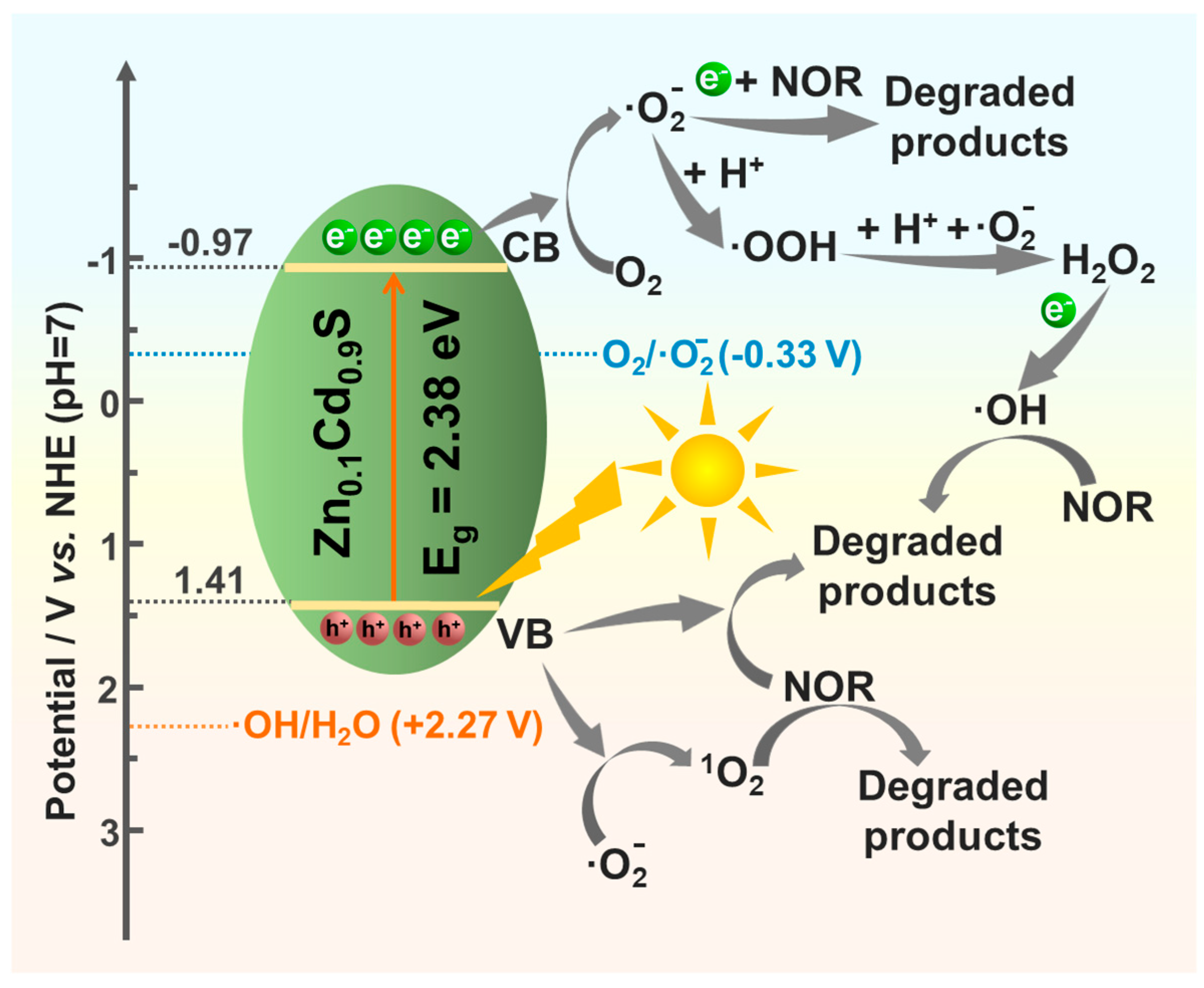Catalysts 15 00819 g007