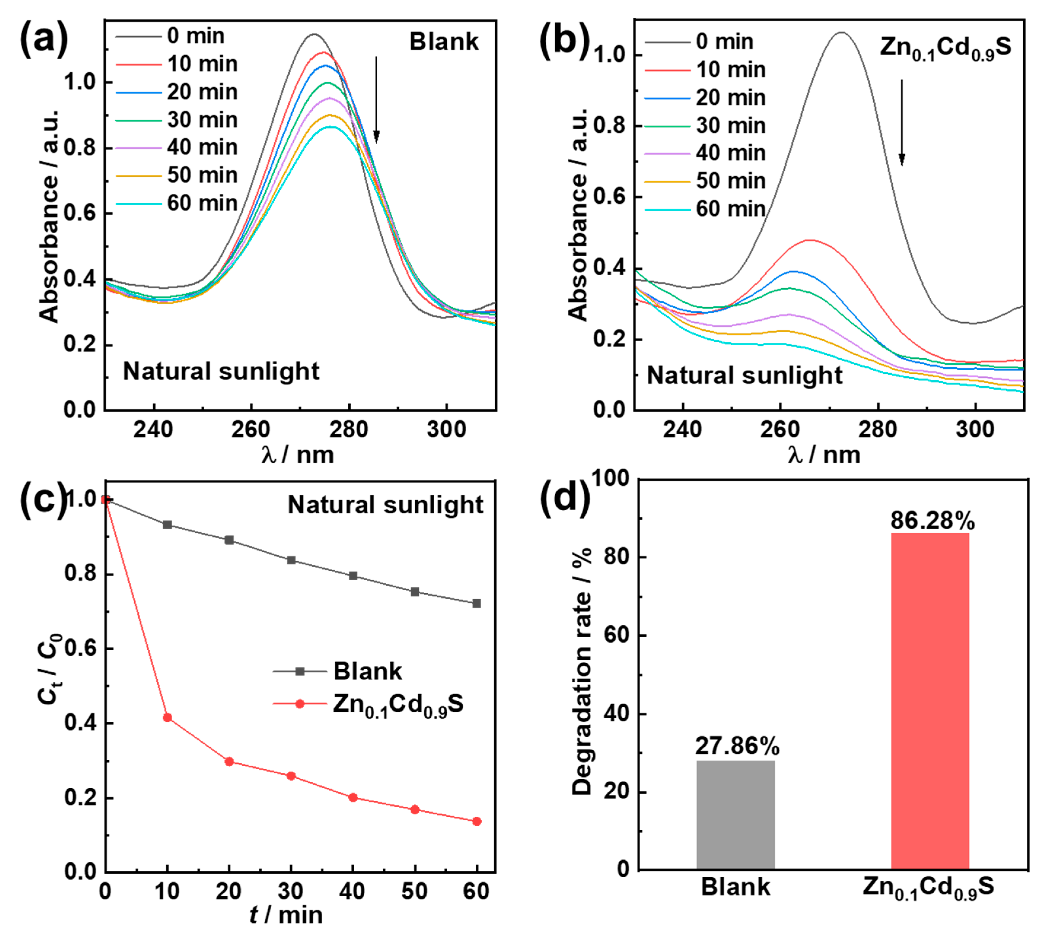 Catalysts 15 00819 g009