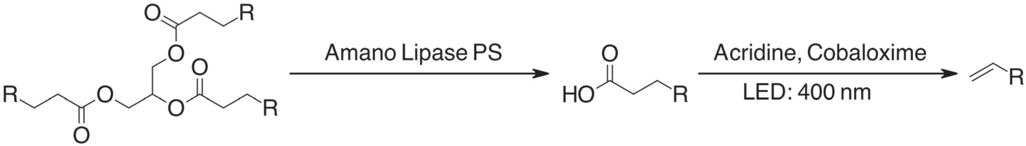 Catalysts 15 00822 sch001 Catalysts 15 00822 sch001
