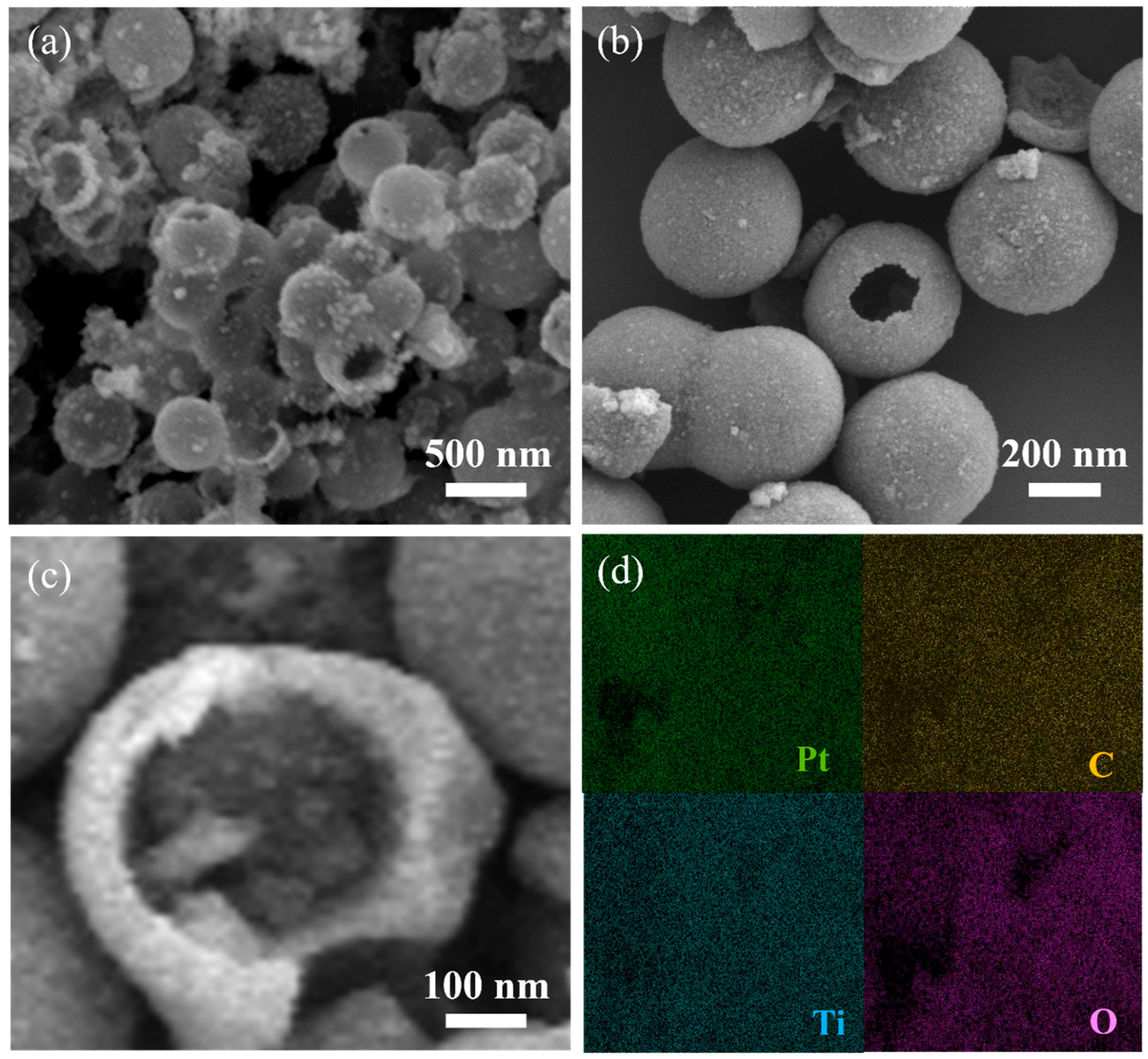 Catalysts 15 00834 g002