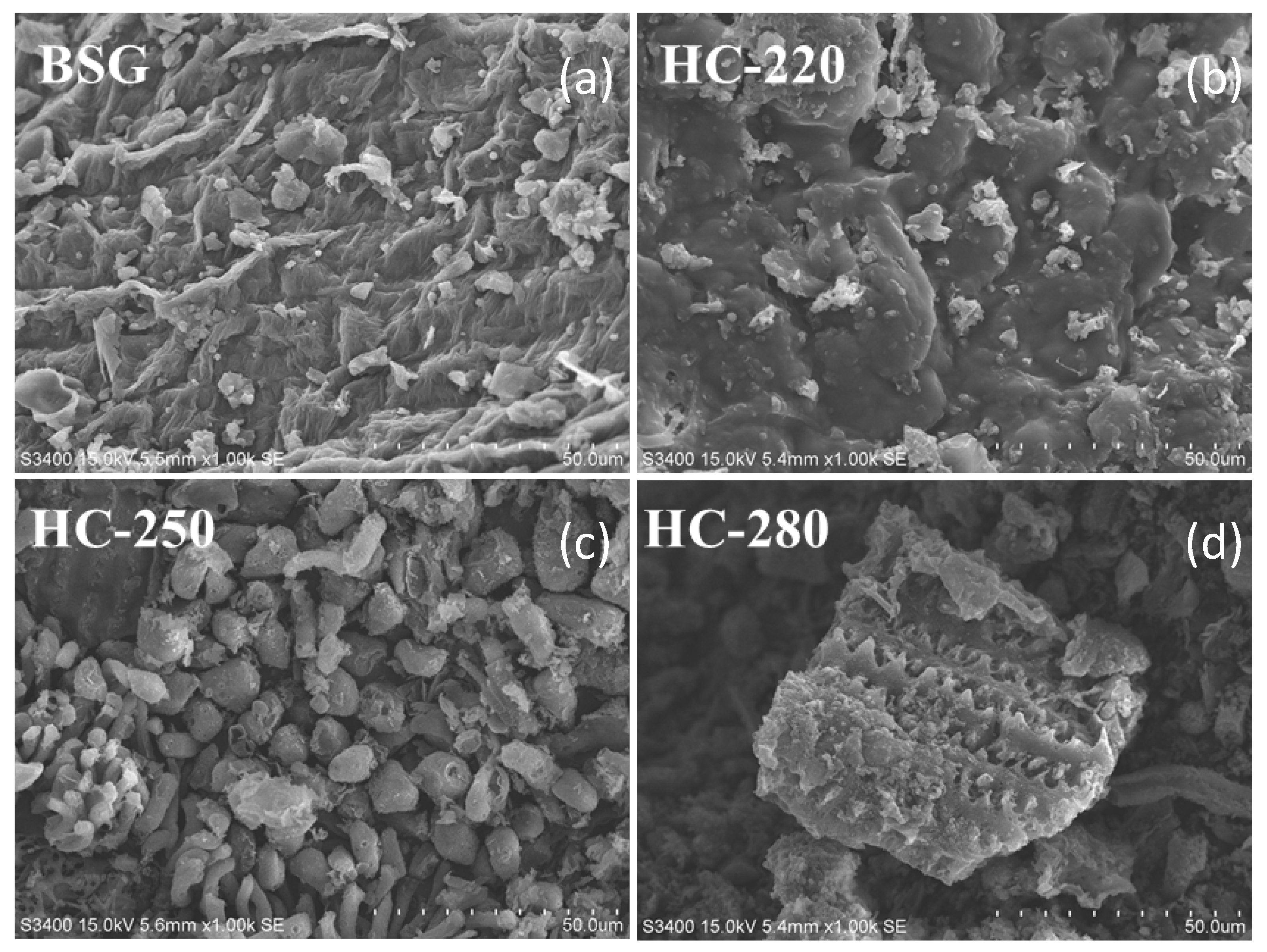Catalysts 15 00847 g007 Catalysts 15 00847 g007