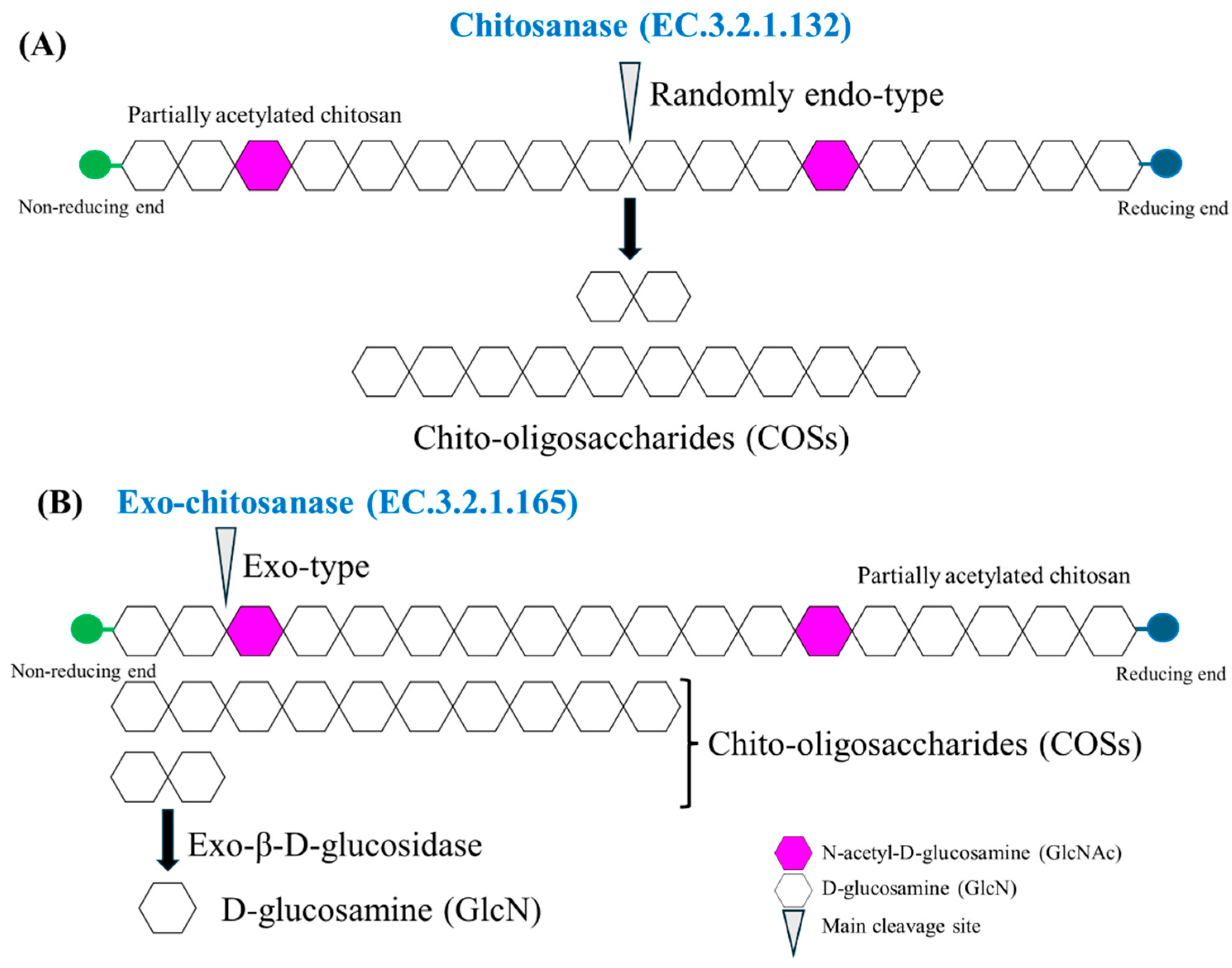 Catalysts 15 00863 g001