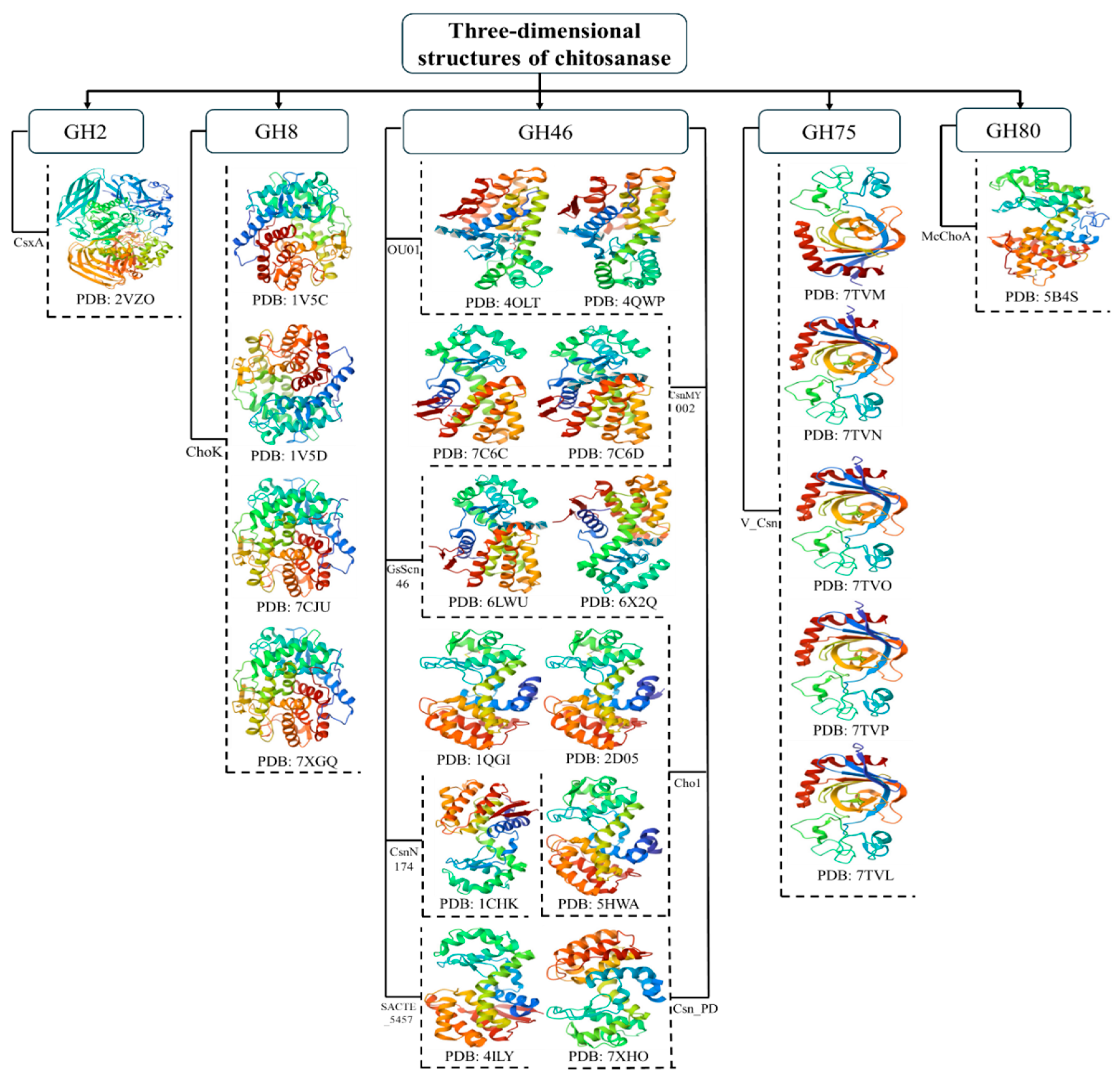 Catalysts 15 00863 g002