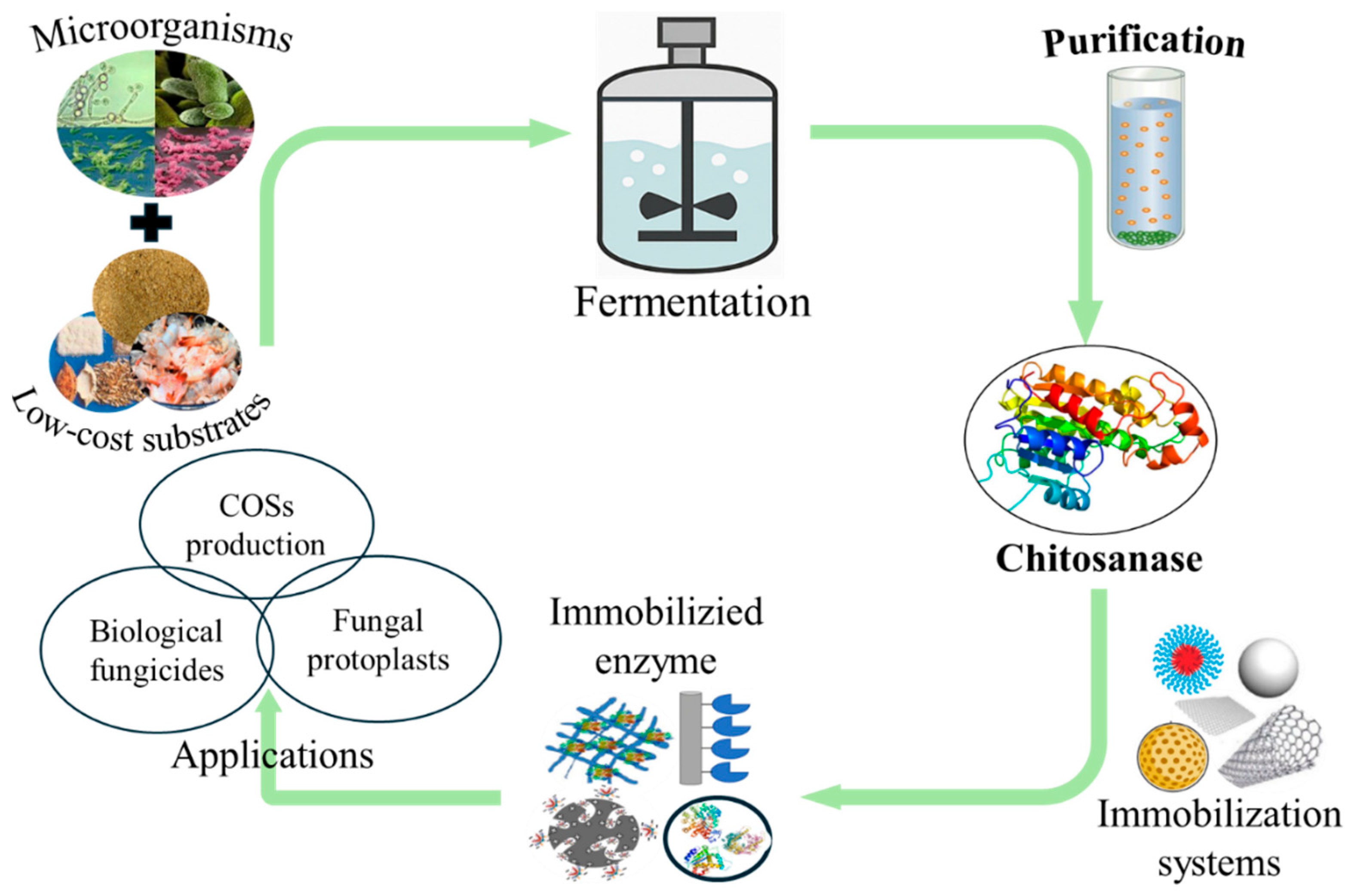 Catalysts 15 00863 g003