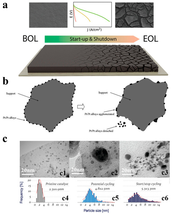 Catalysts 15 00871 g002