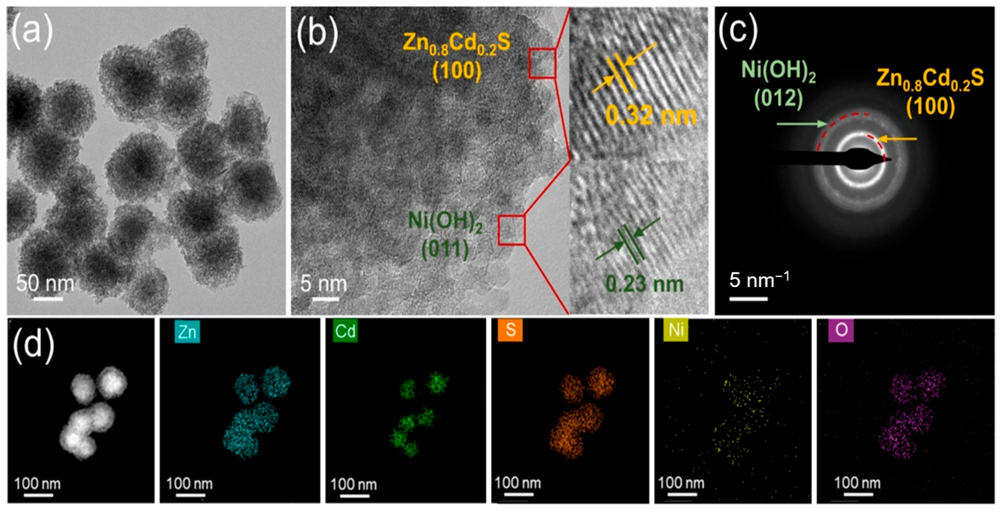 Catalysts 15 00886 g004 Catalysts 15 00886 g004