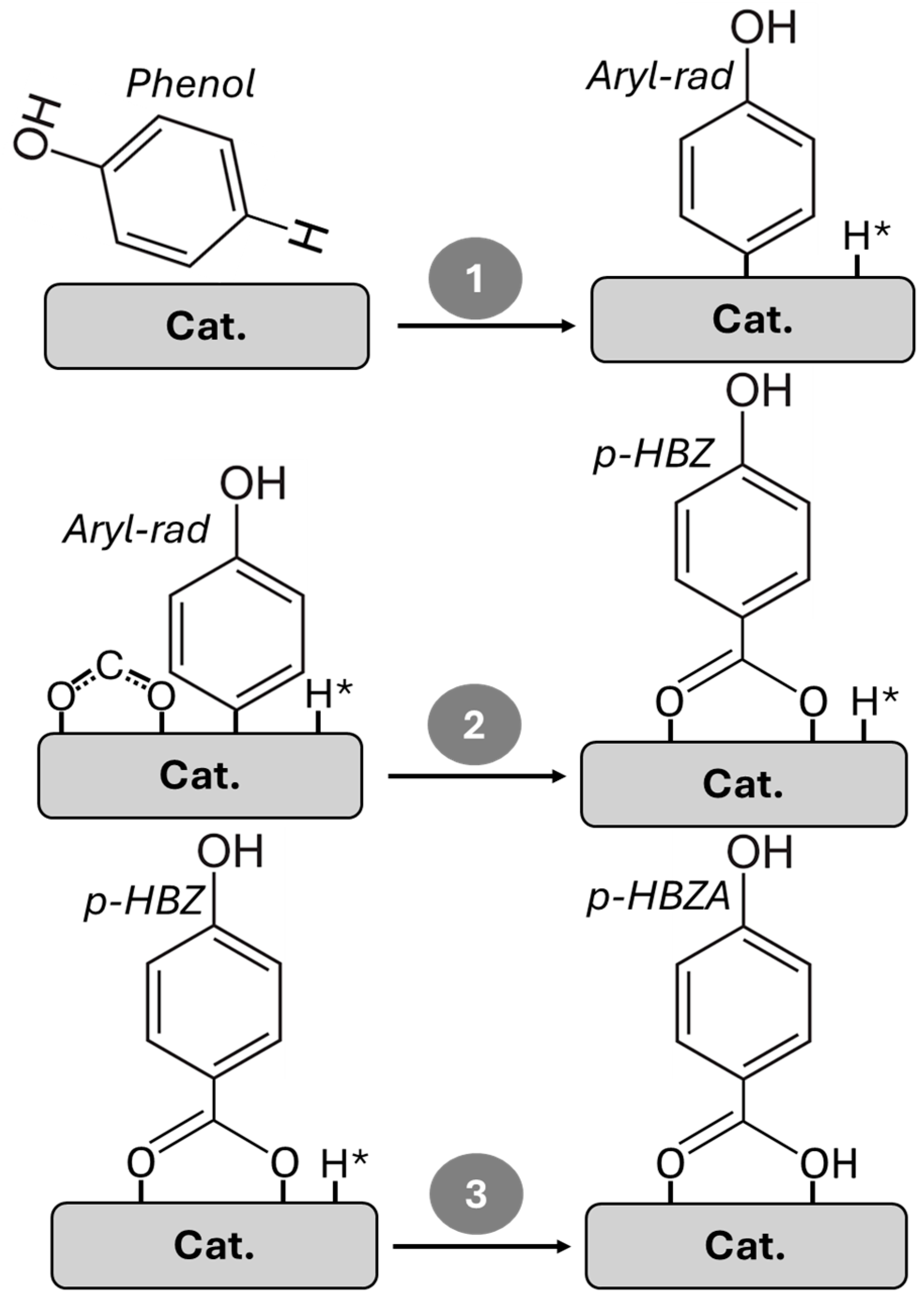 Catalysts 15 00902 g001