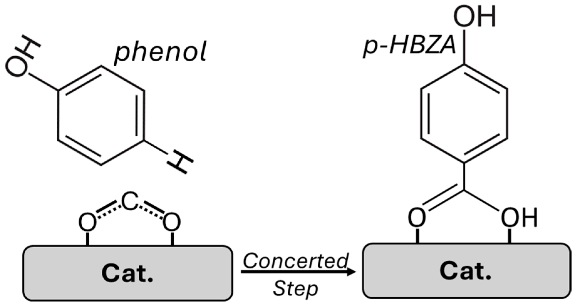 Catalysts 15 00902 g003