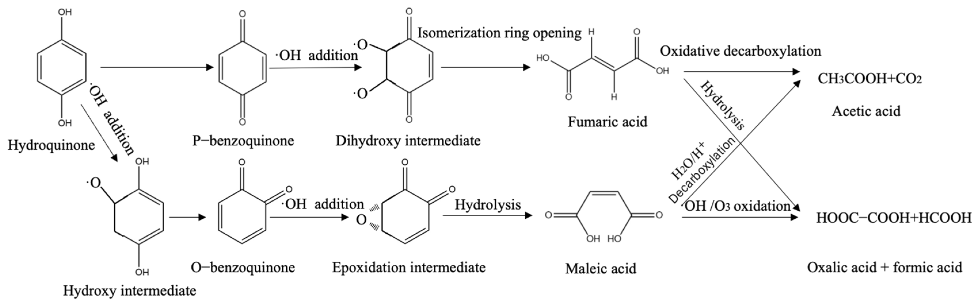 Catalysts 15 00903 g006 Catalysts 15 00903 g006