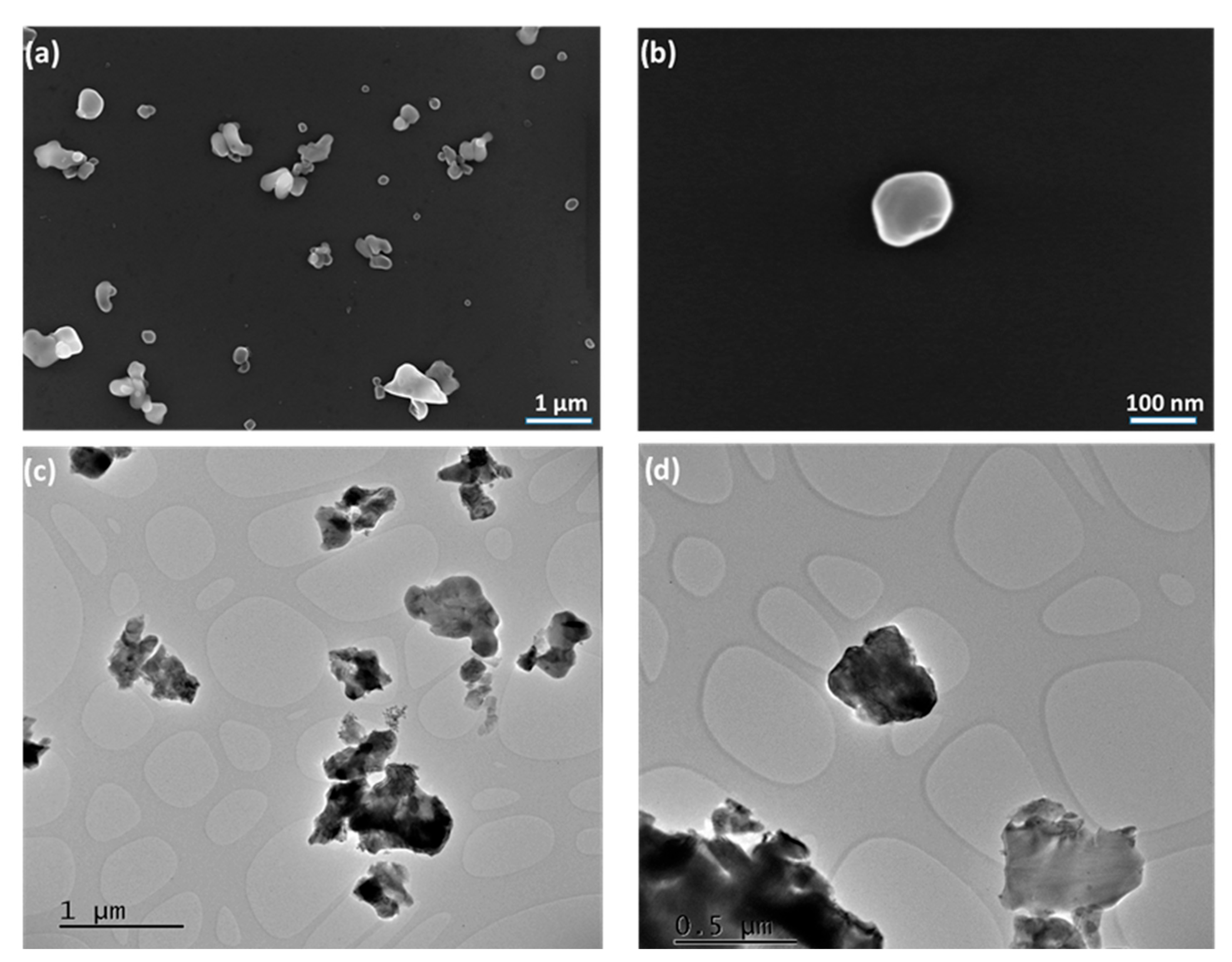Catalysts 15 00908 g003 Catalysts 15 00908 g003