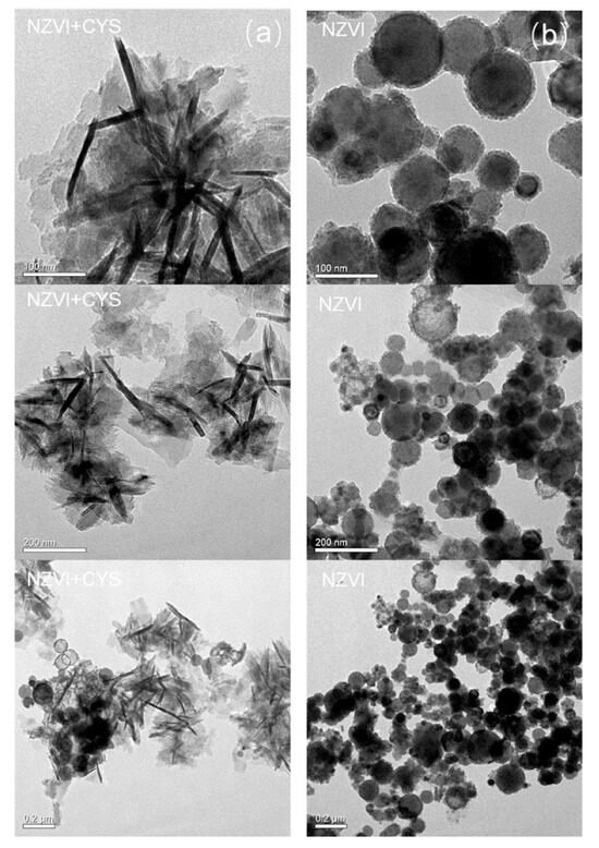 Catalysts 15 00911 g0a1
