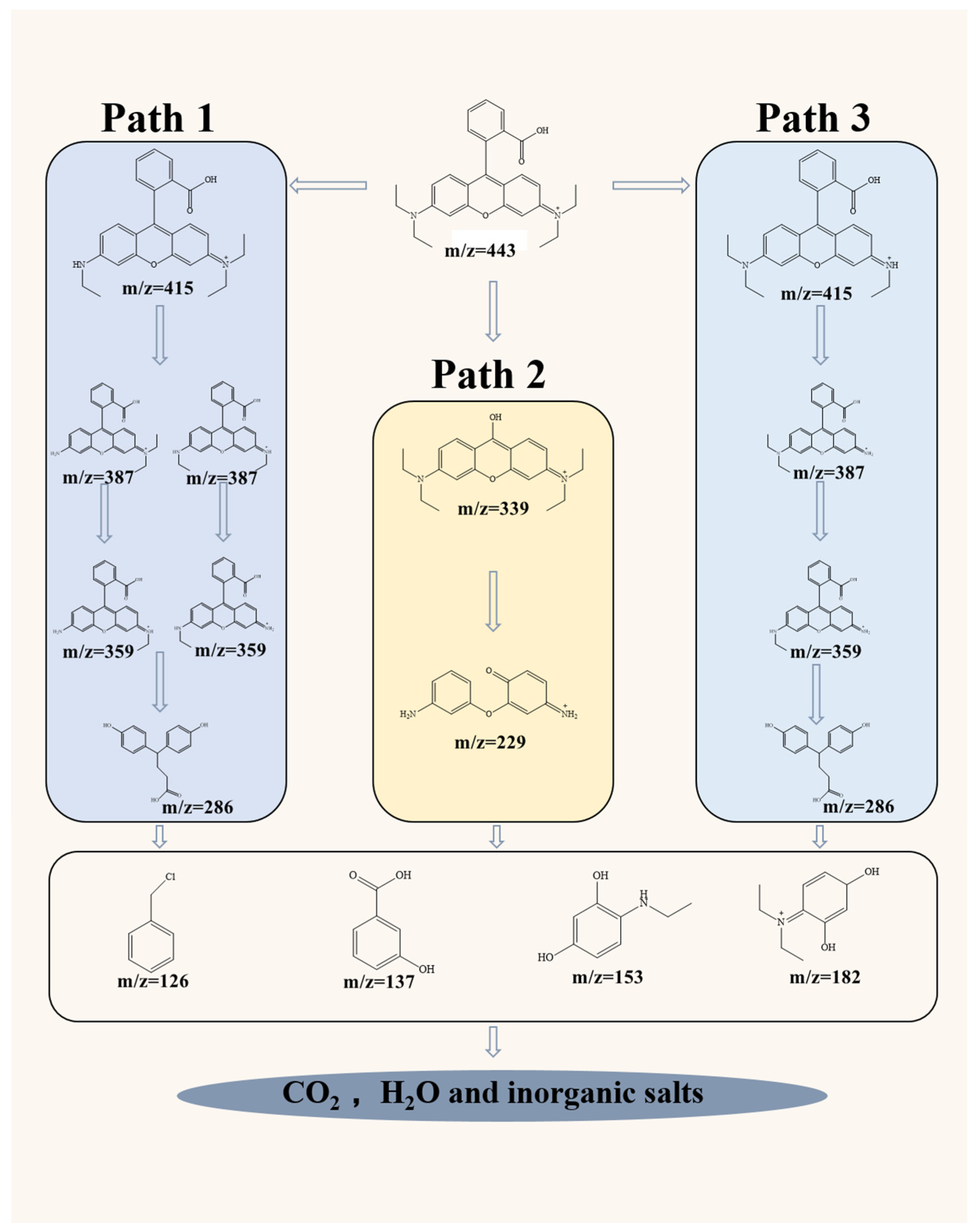 Catalysts 15 00926 g007