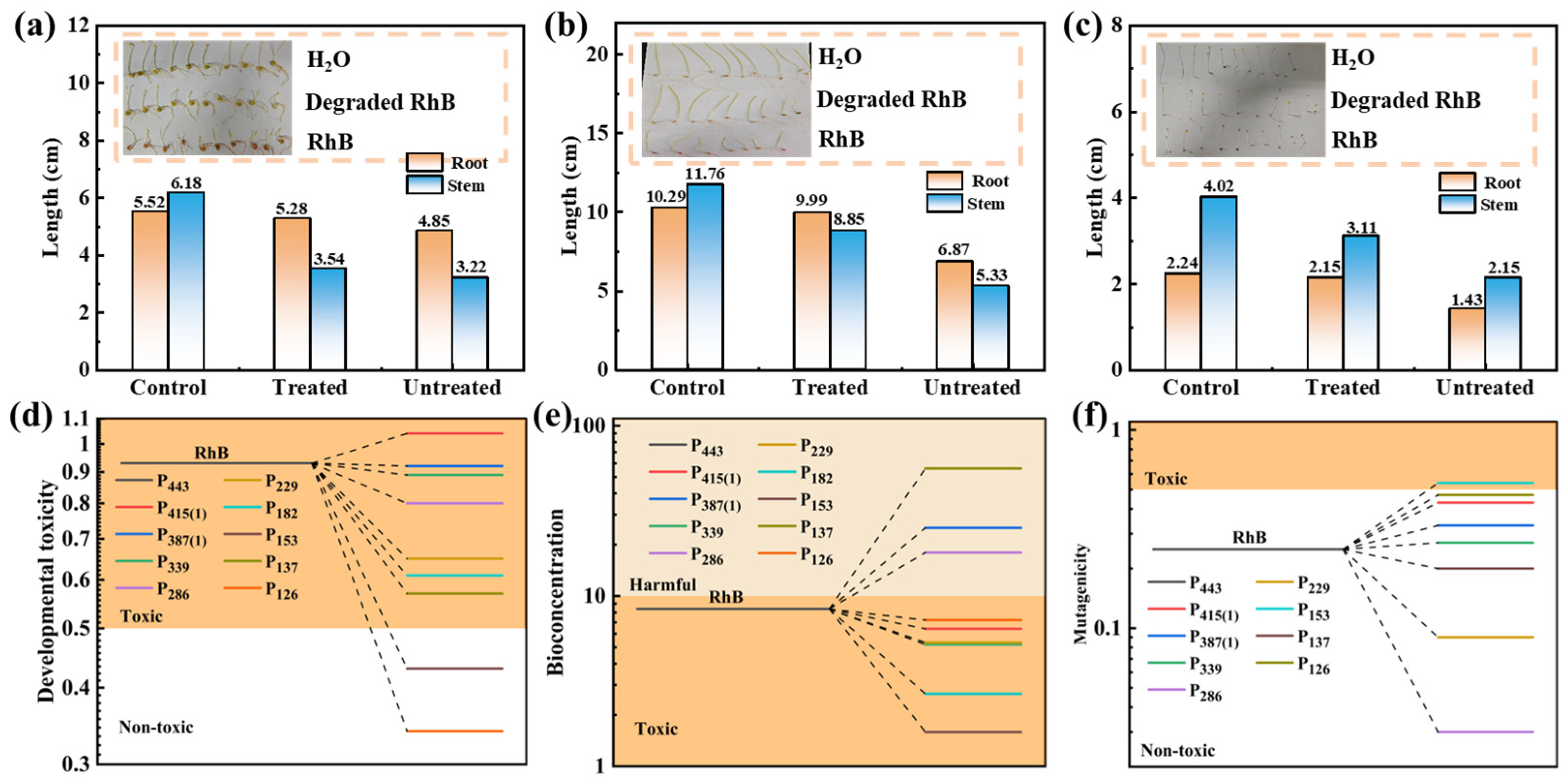 Catalysts 15 00926 g008