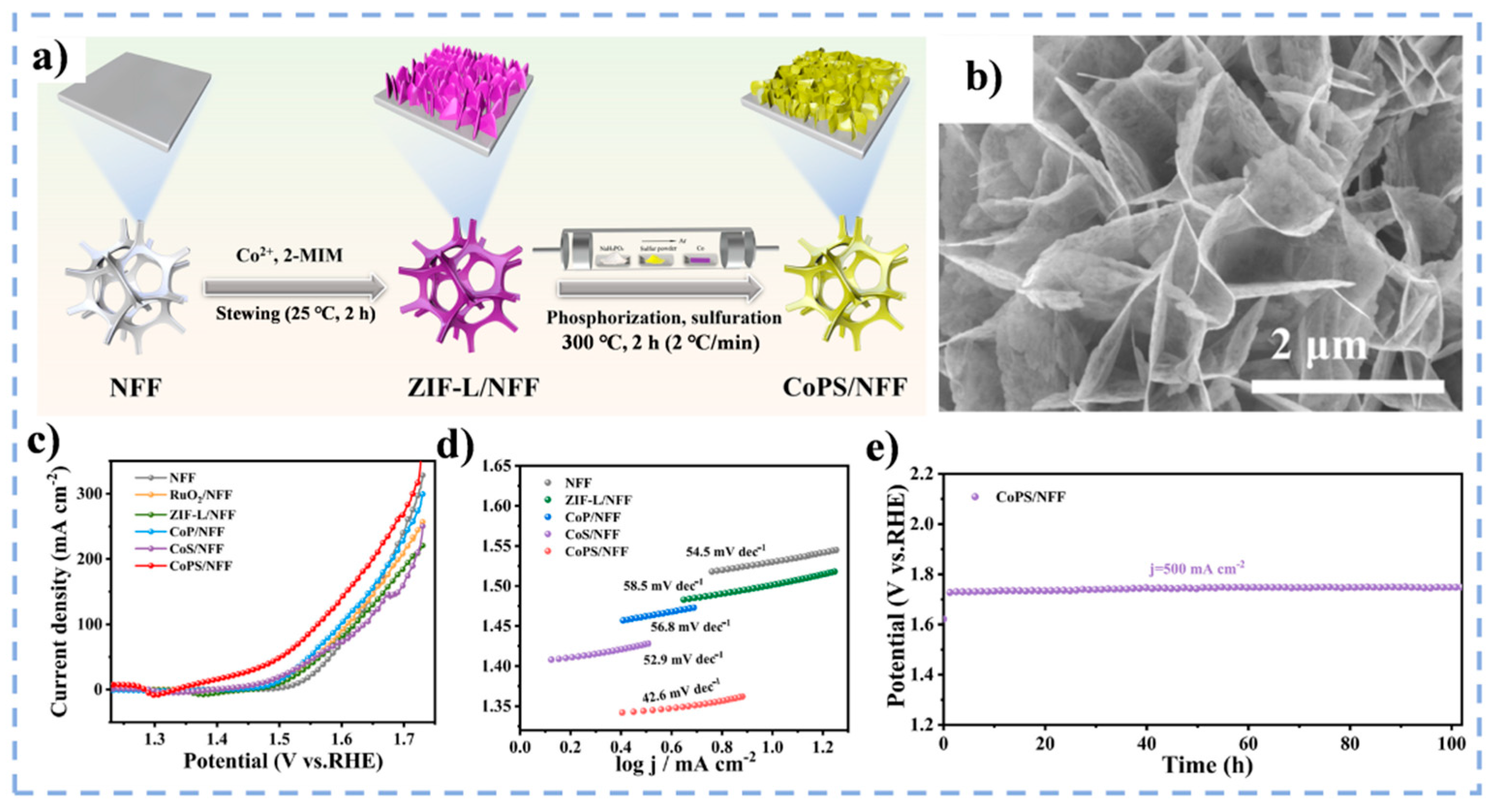 Catalysts 15 00928 g006 Catalysts 15 00928 g006