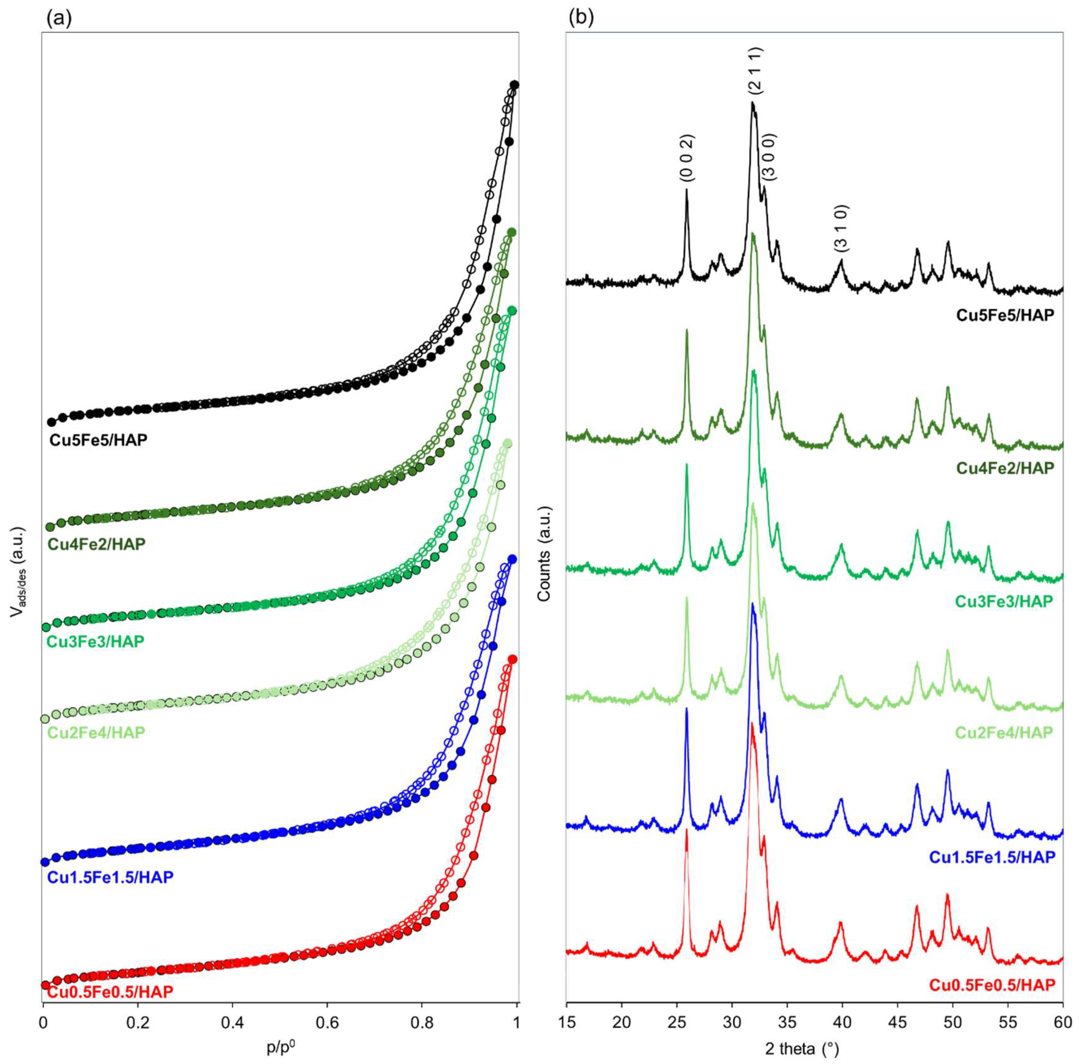 Catalysts 15 00929 g001