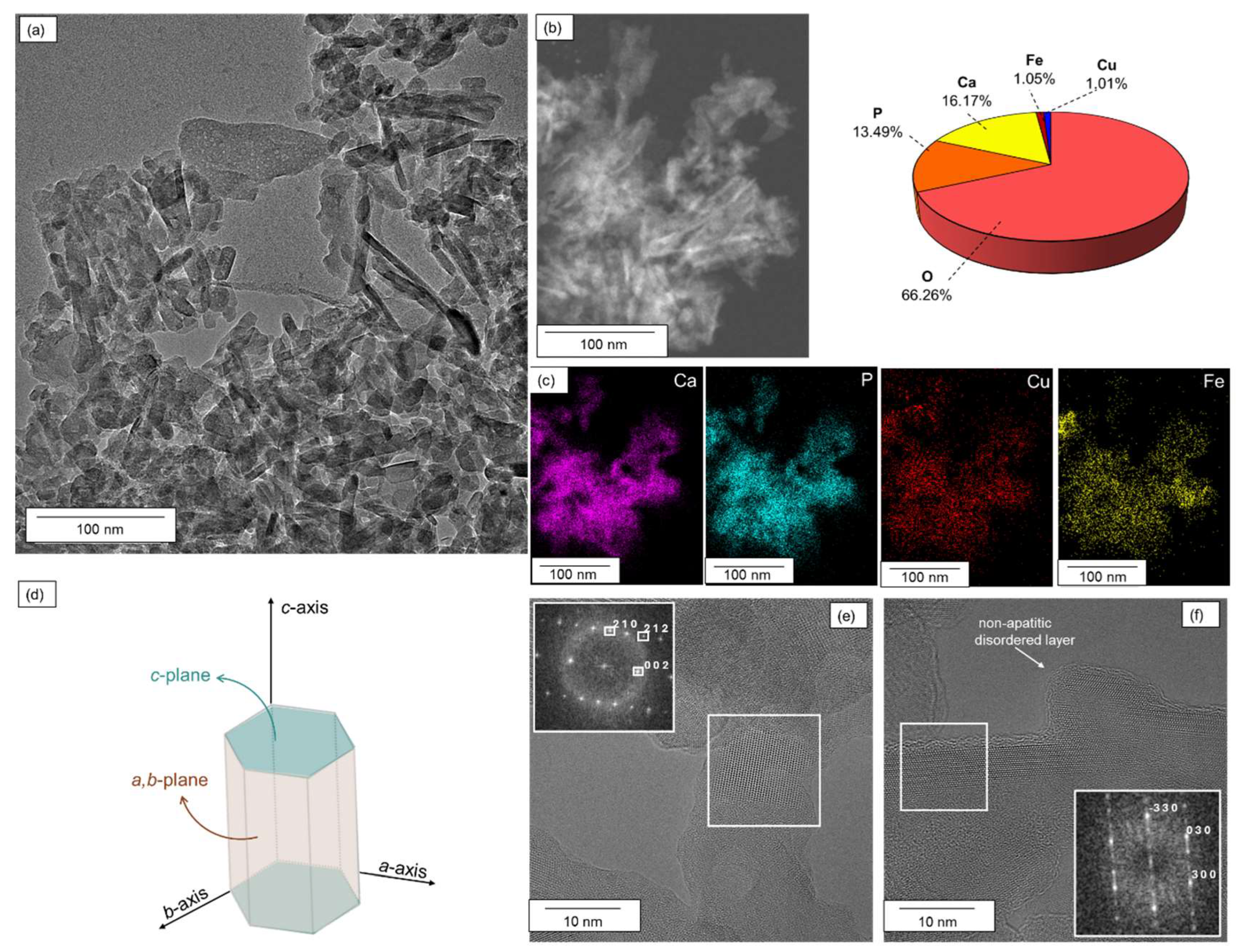 Catalysts 15 00929 g002
