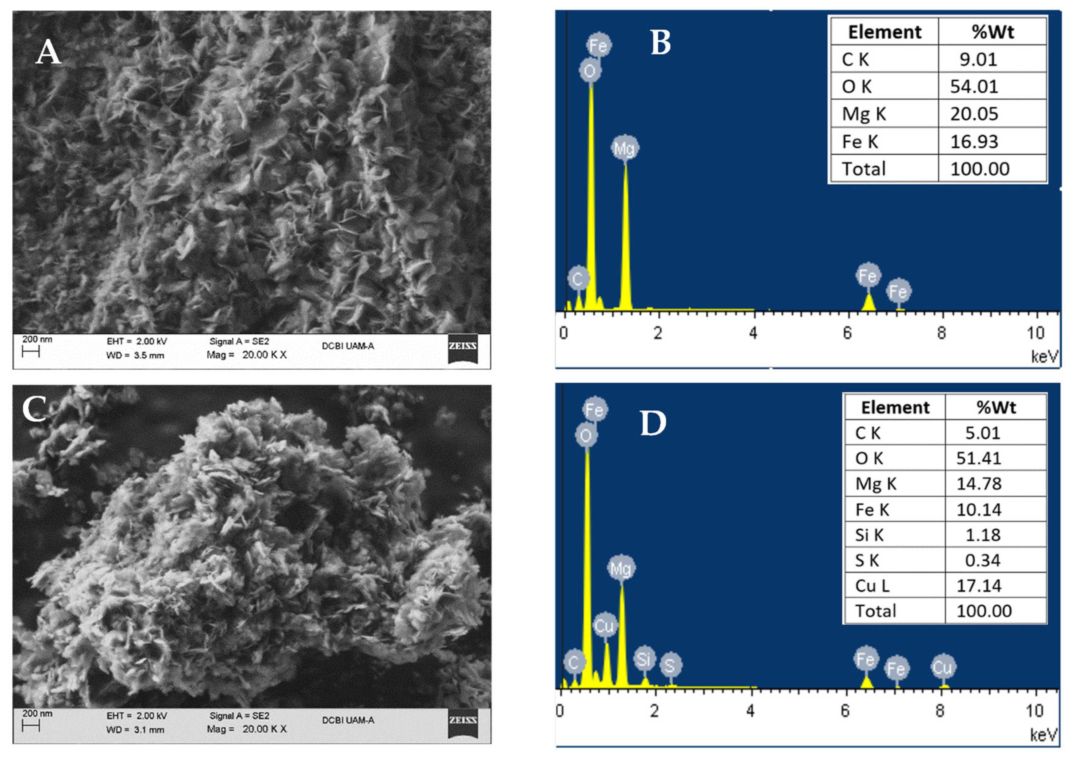 Catalysts 15 00930 g004
