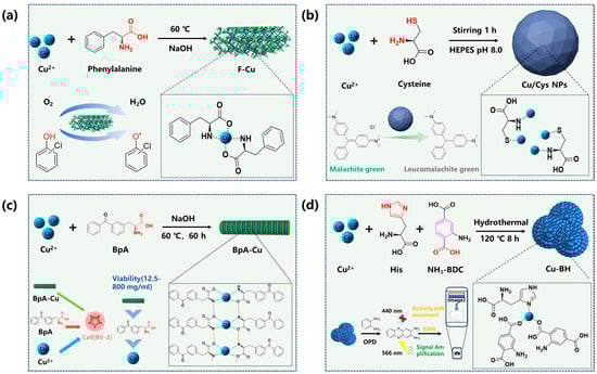 Catalysts 15 00932 g004