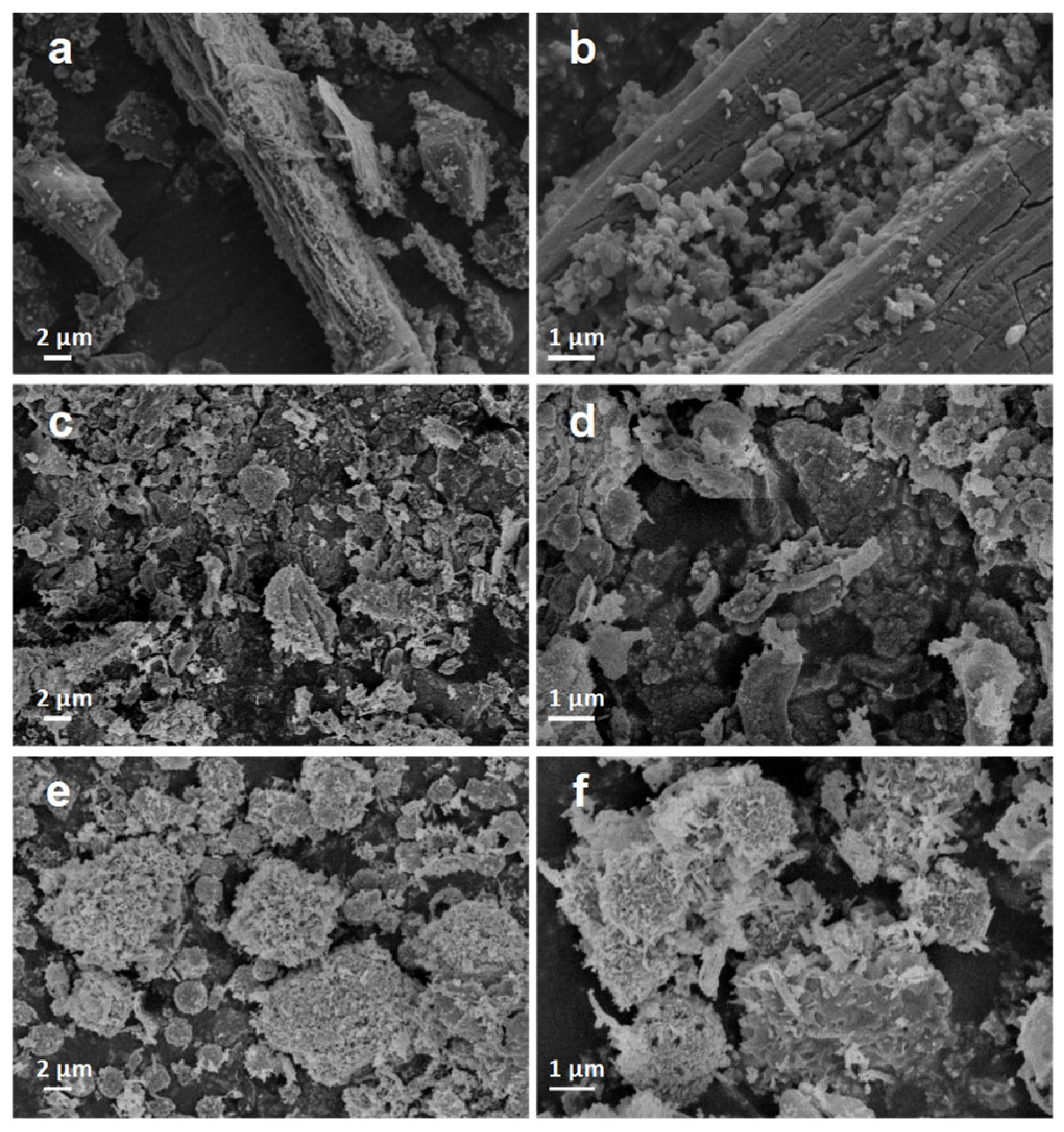 Catalysts 15 00933 g003 Catalysts 15 00933 g003