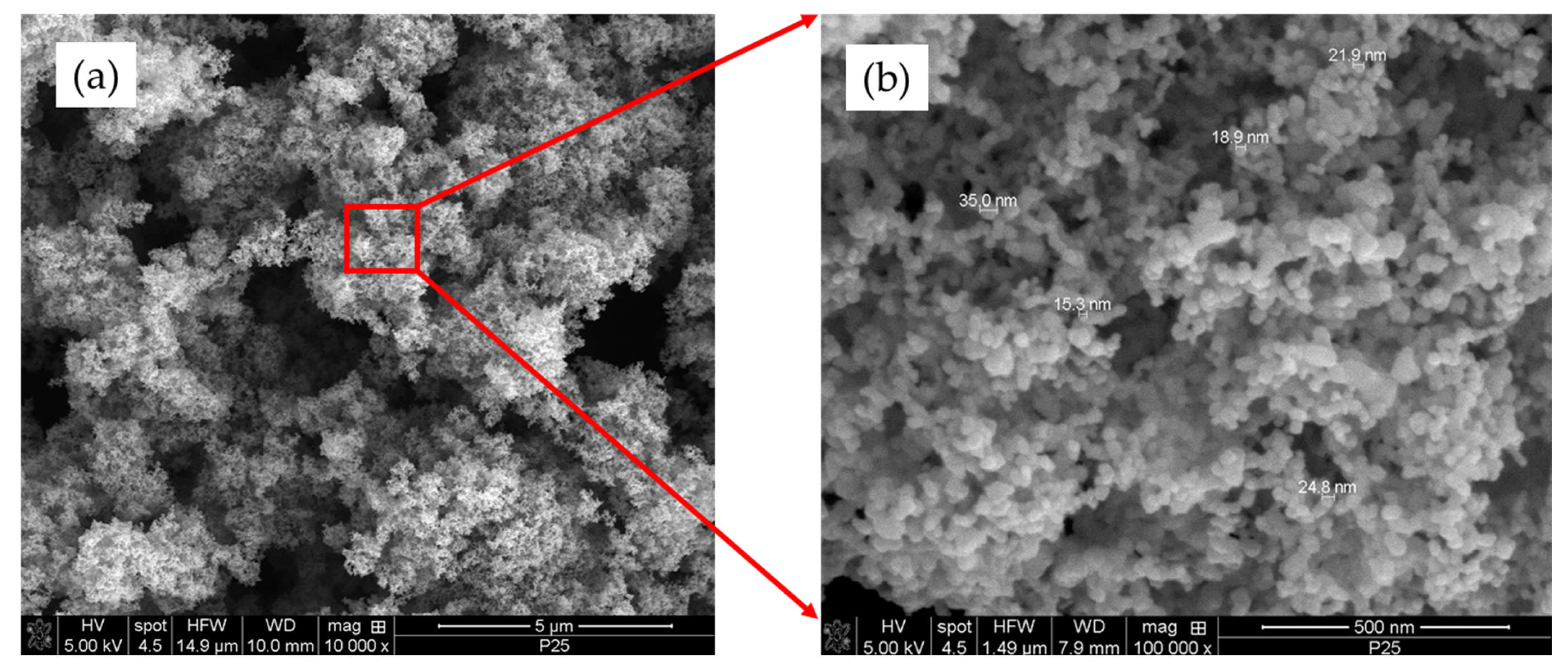 Catalysts 15 00935 g002