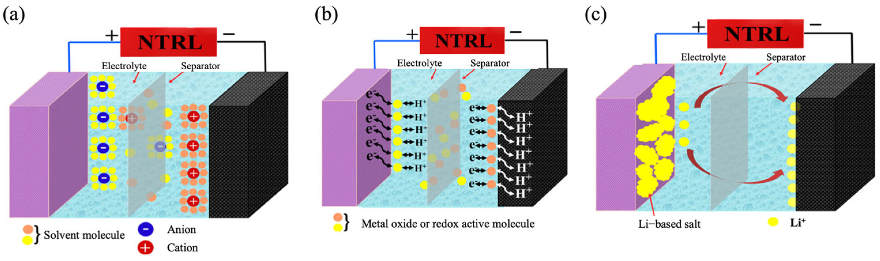 Catalysts 15 00945 g001