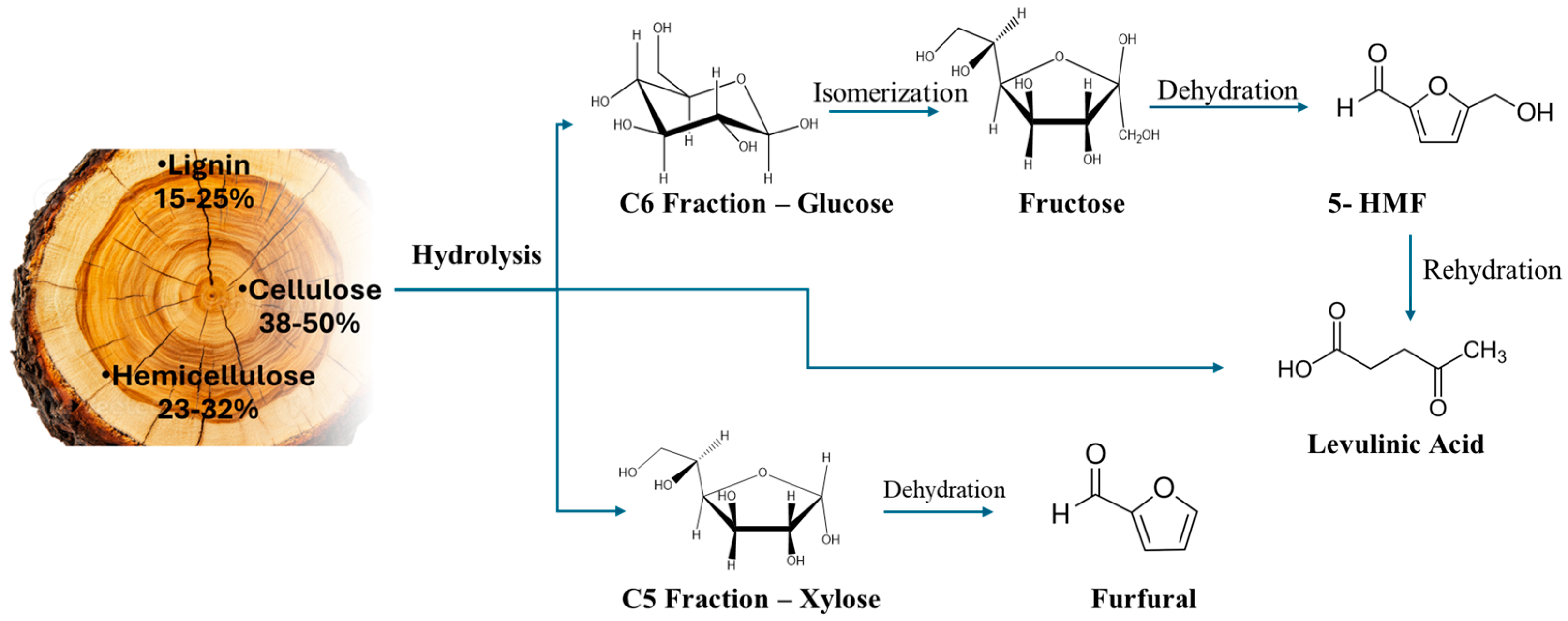 Catalysts 15 00948 g009 Catalysts 15 00948 g009