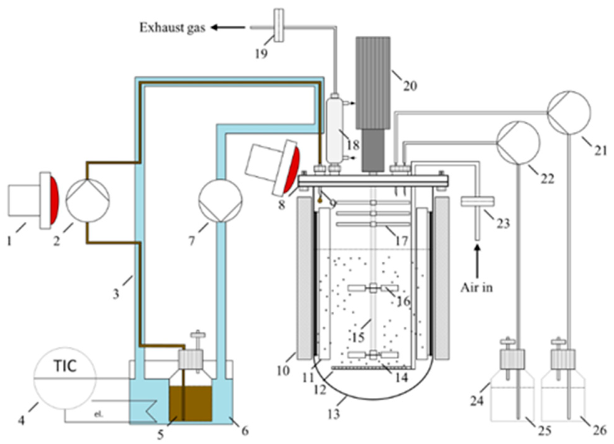 Catalysts 15 00948 g013 Catalysts 15 00948 g013