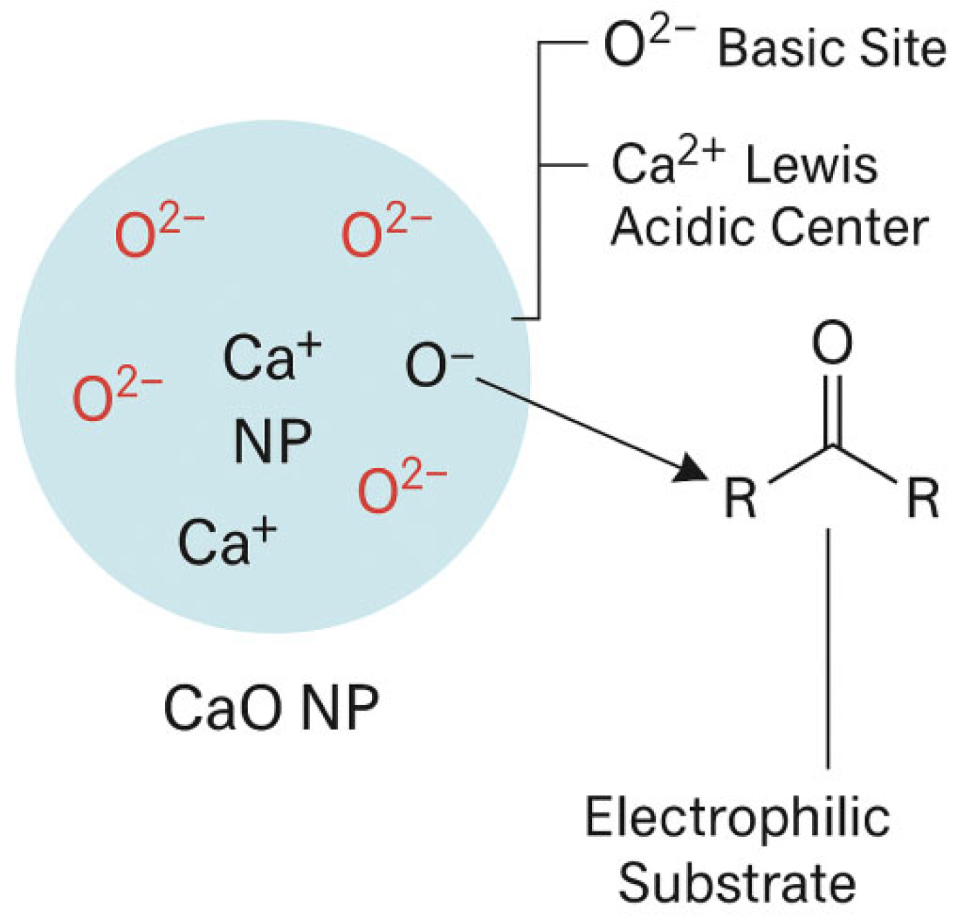 Catalysts 15 00970 g001