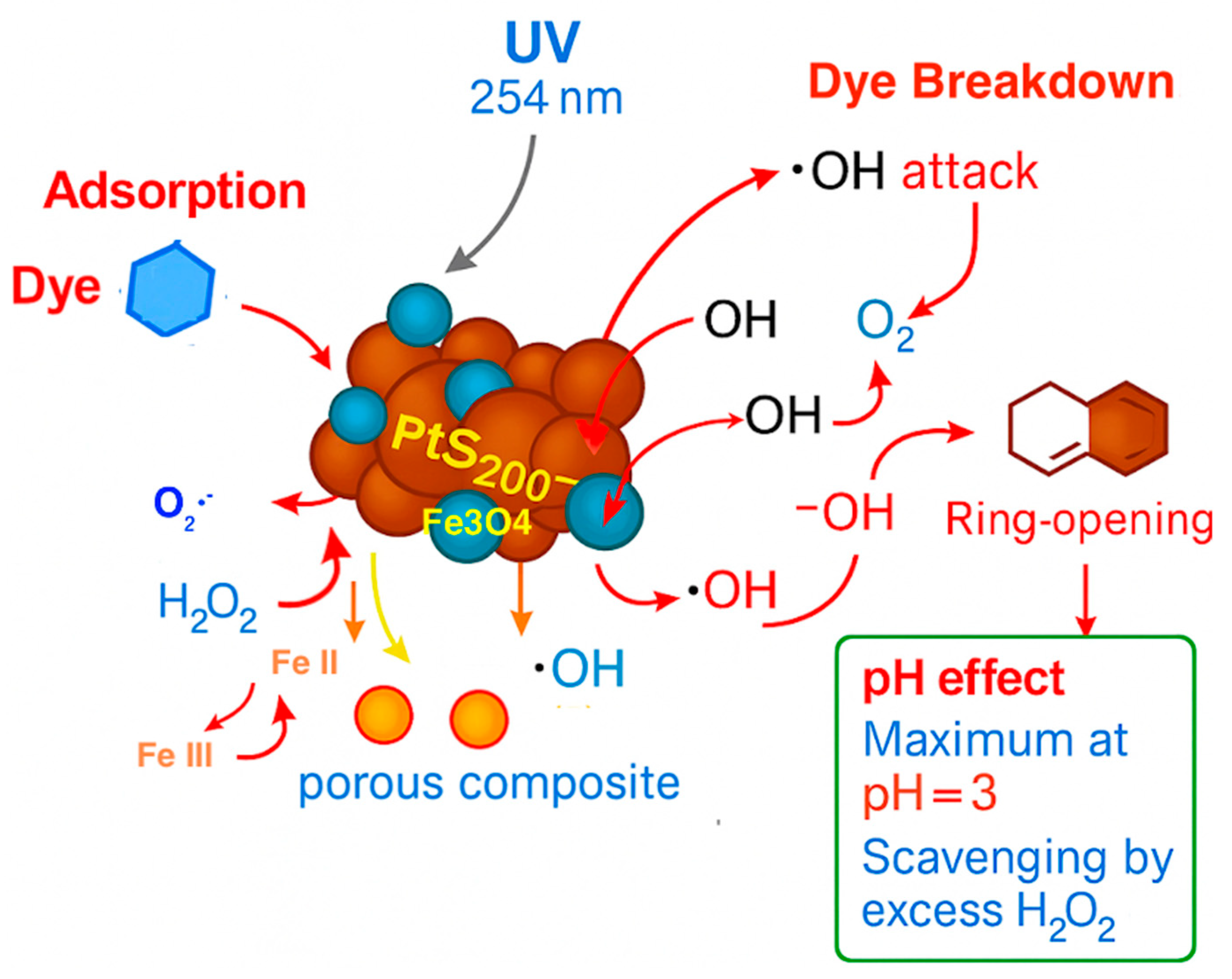 Catalysts 15 00997 g015