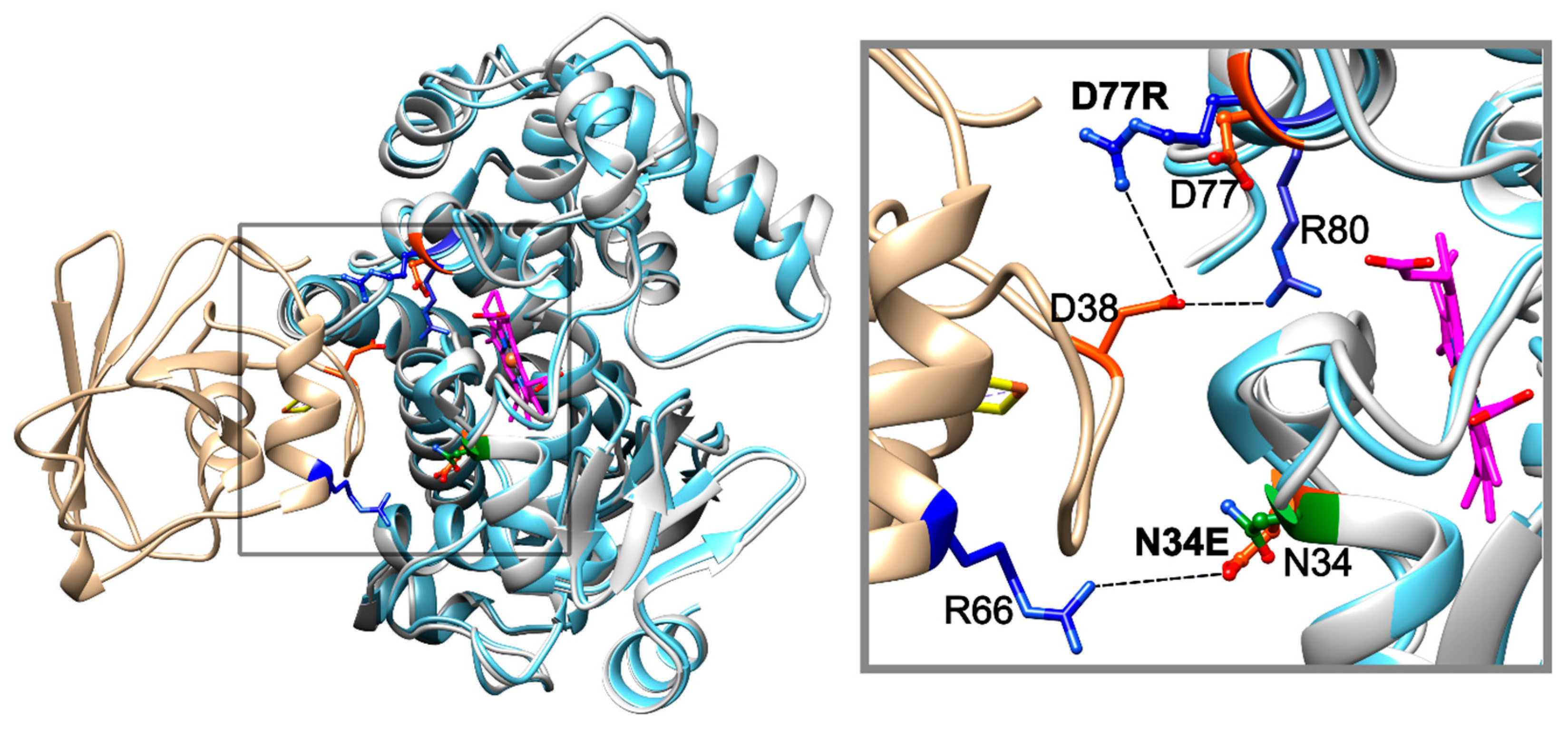 Catalysts 15 01000 g001 Catalysts 15 01000 g001