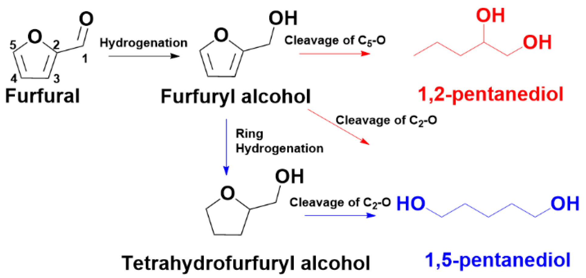 Catalysts 15 01005 sch001