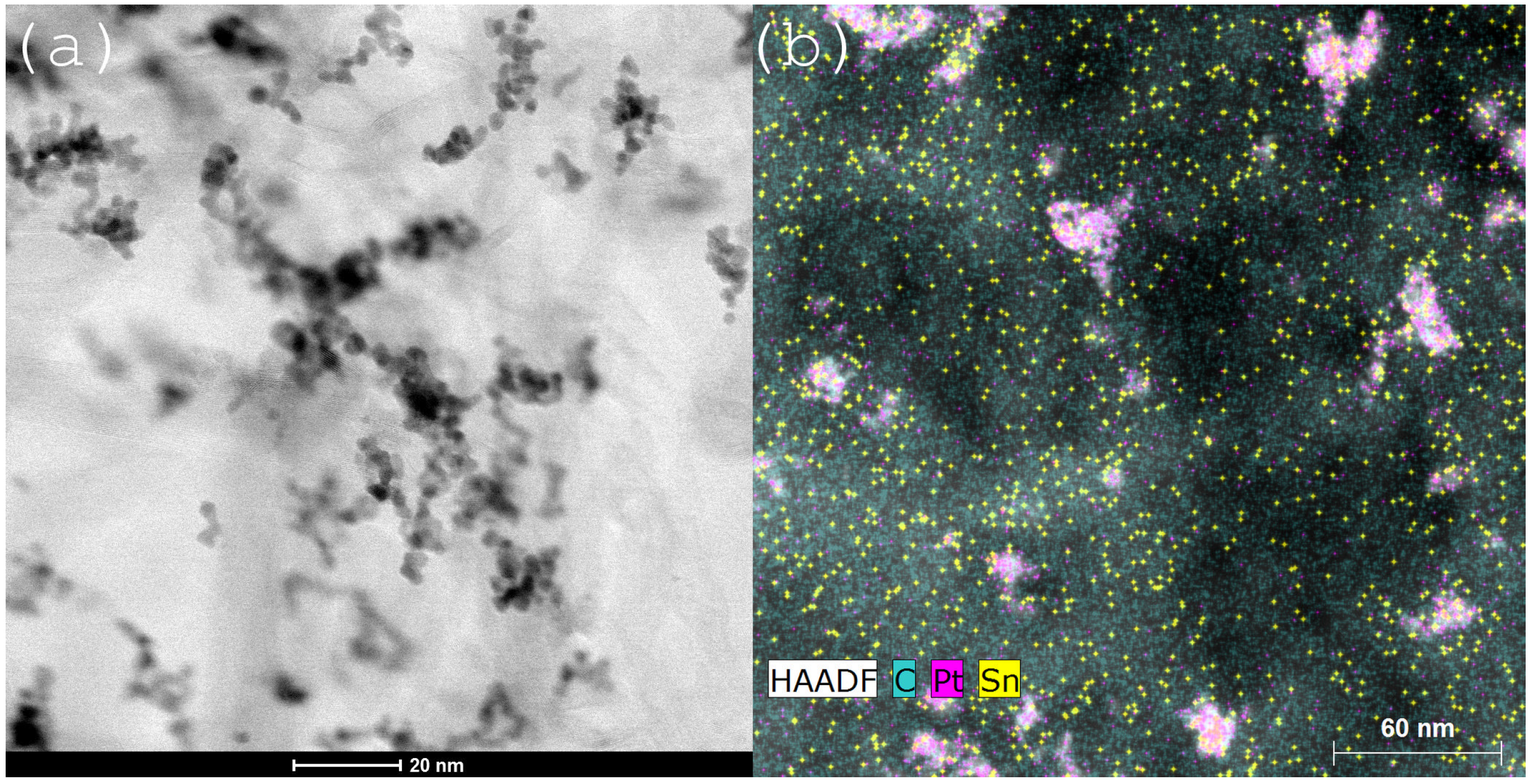Catalysts 15 01052 g002 Catalysts 15 01052 g002