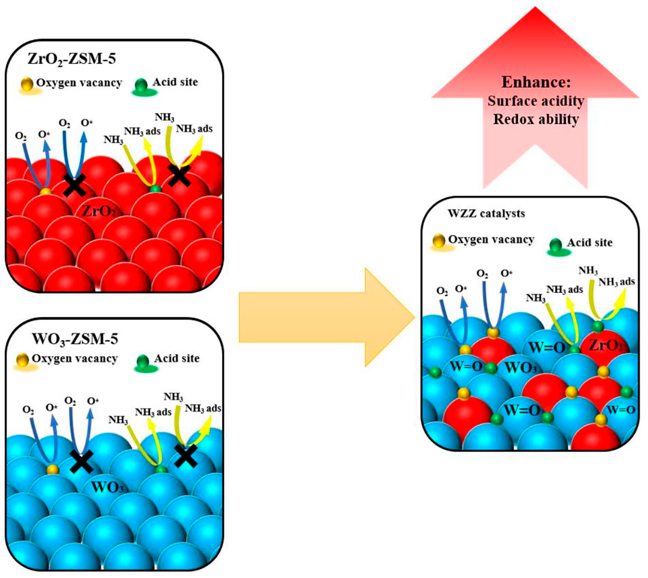 Catalysts 15 01060 g005