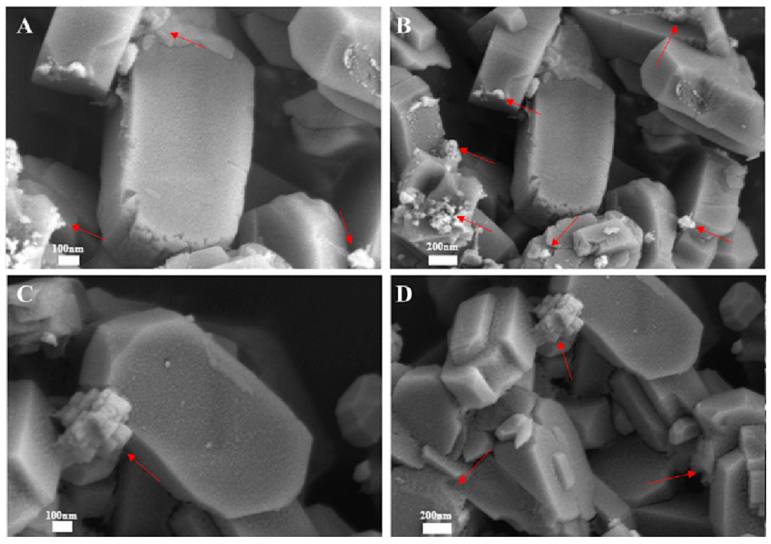 Catalysts 15 01060 g007
