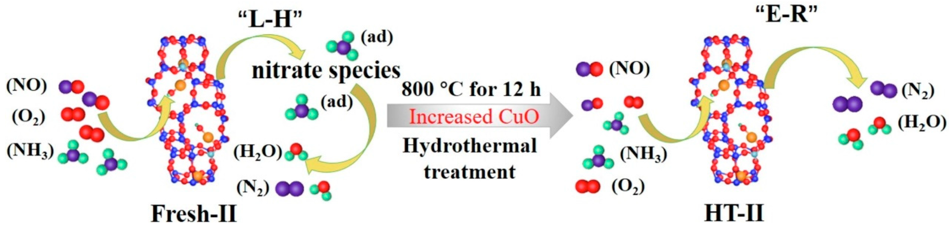 Catalysts 15 01060 g017