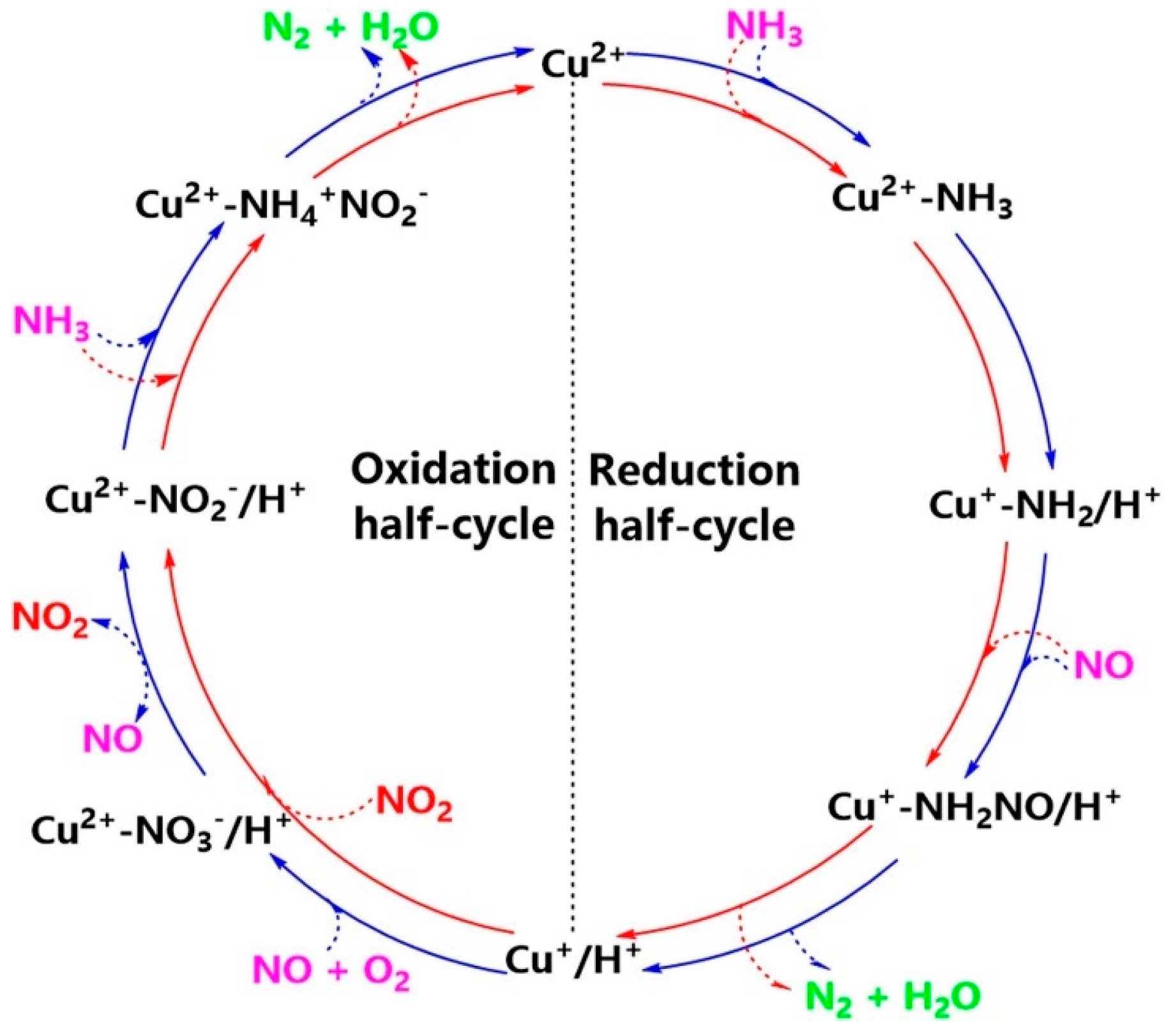 Catalysts 15 01060 g024