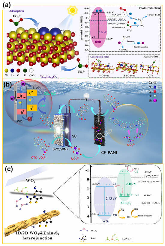 Catalysts 15 01061 g008