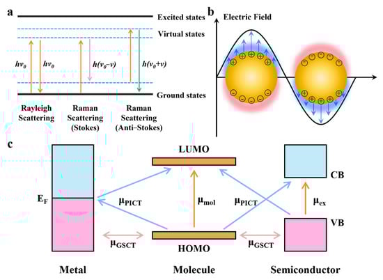 Catalysts 15 01131 g001