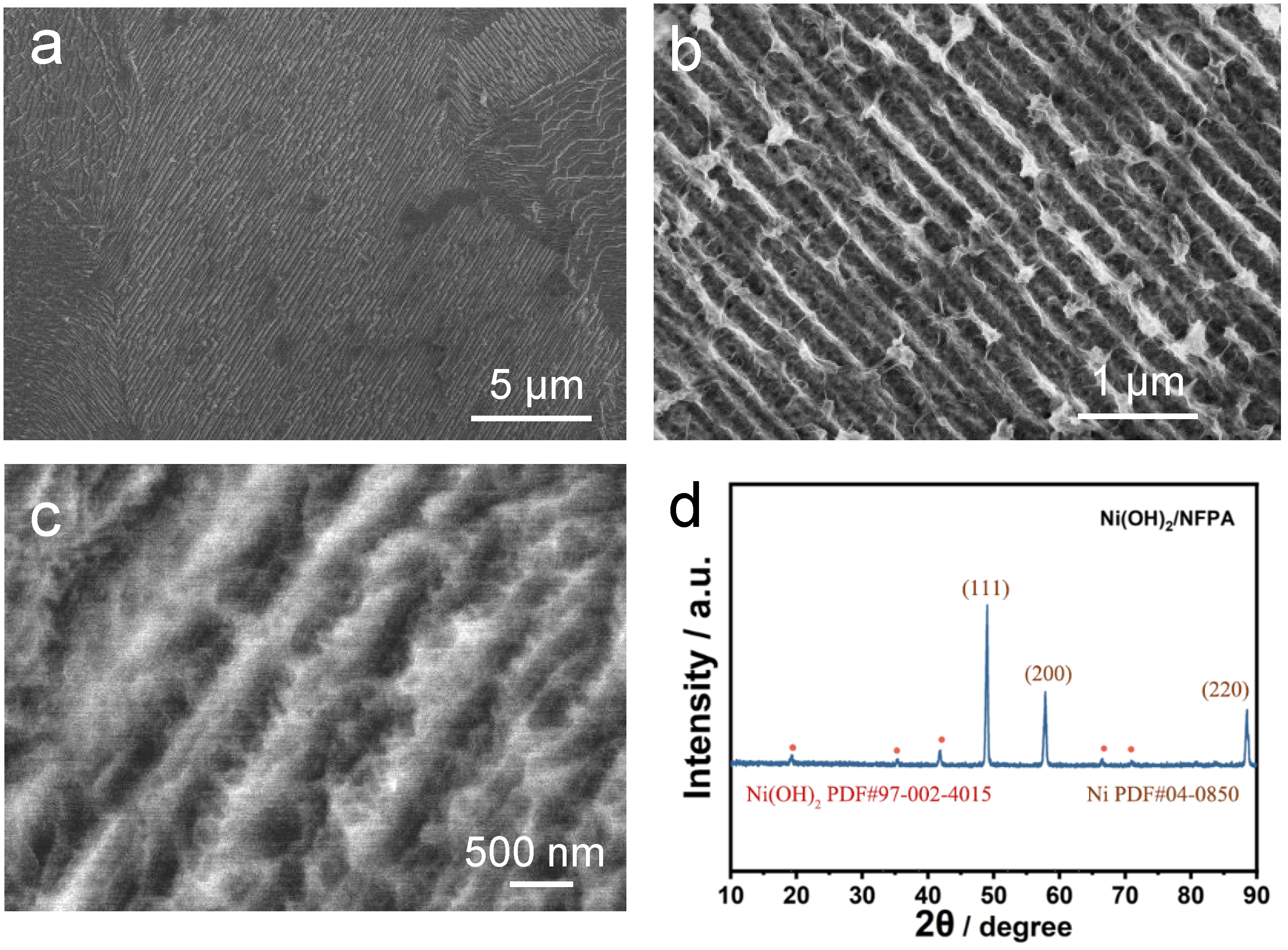 Catalysts 15 01144 g002 Catalysts 15 01144 g002